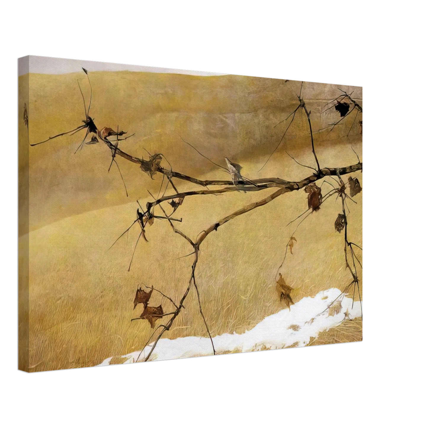 Andrew Wyeth - LONG LIMB Canvas - 40x60 cm / 16x24 inches-canvas