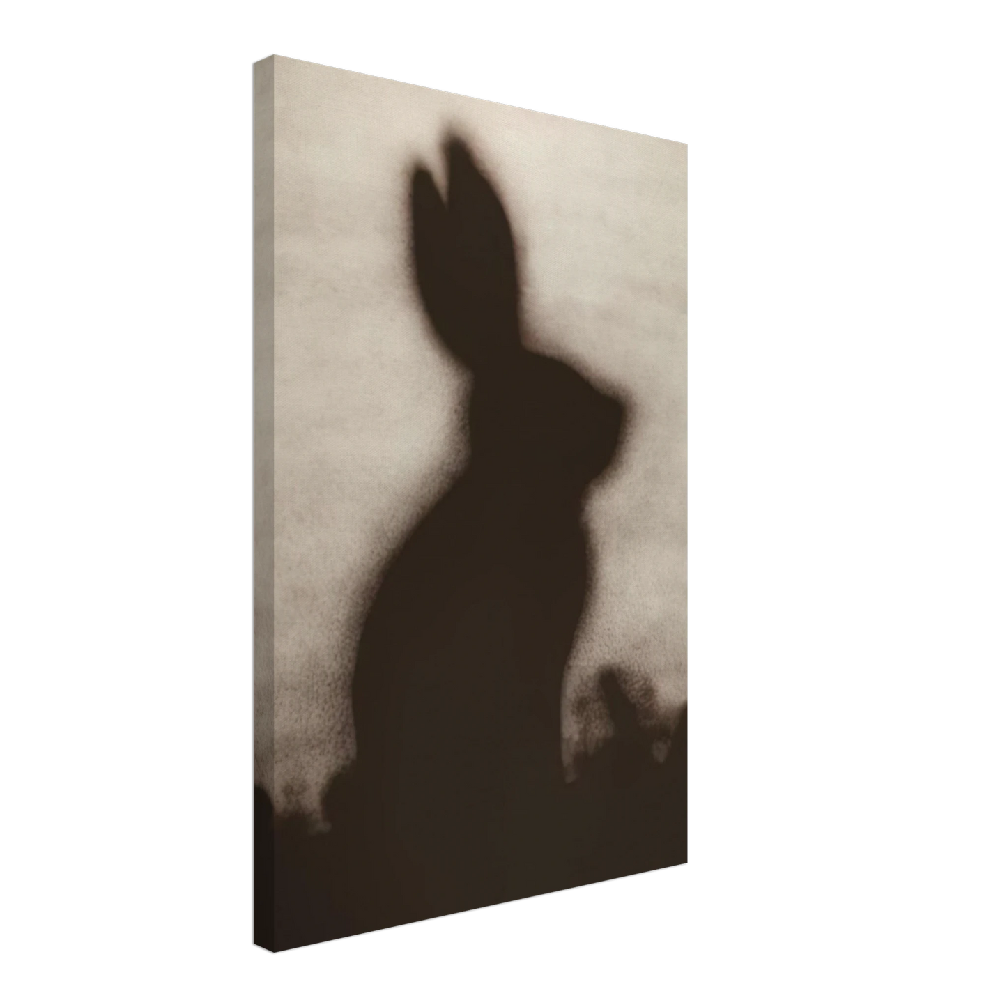 Edward Ruscha - RABBIT 1986 Canvas - 70x100 cm / 28x40 inches-canvas