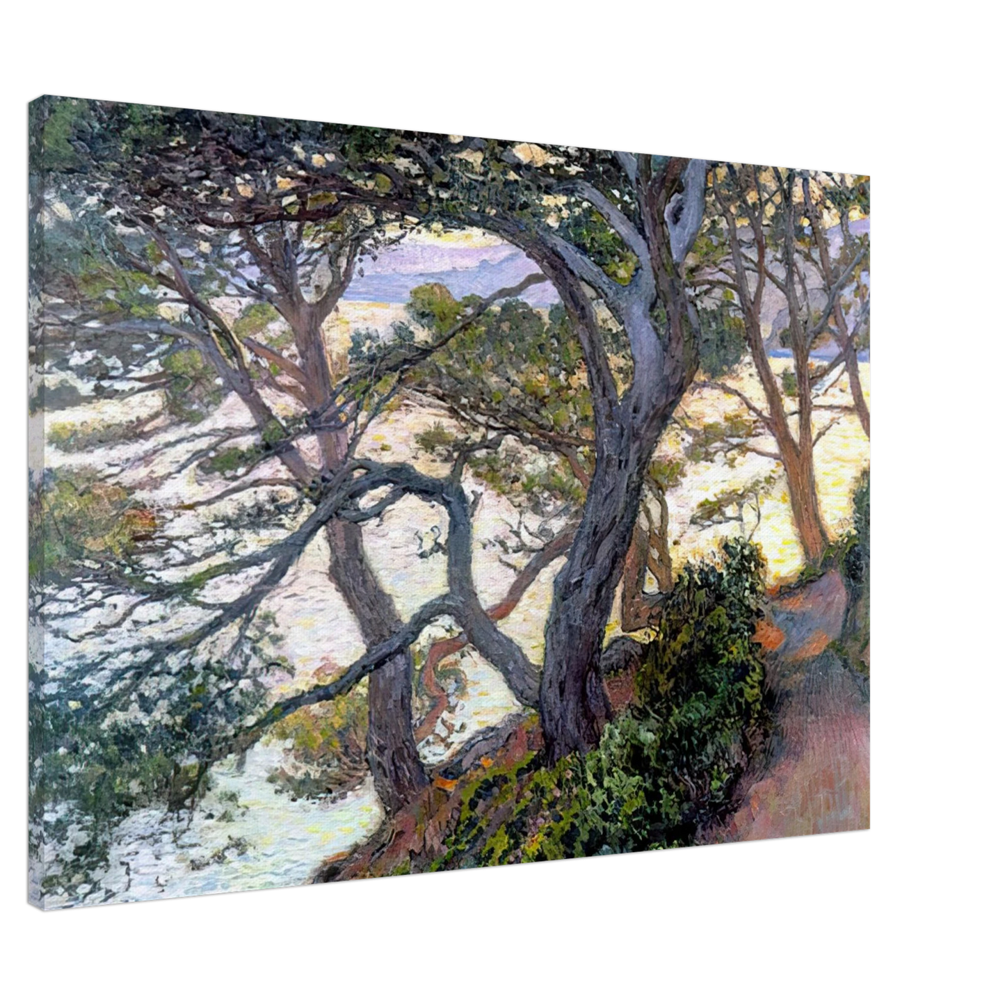 Theo van Rysselberghe - PINES OF RAYOL 1912 Canvas - 20x30 cm / 8x12 inches-canvas