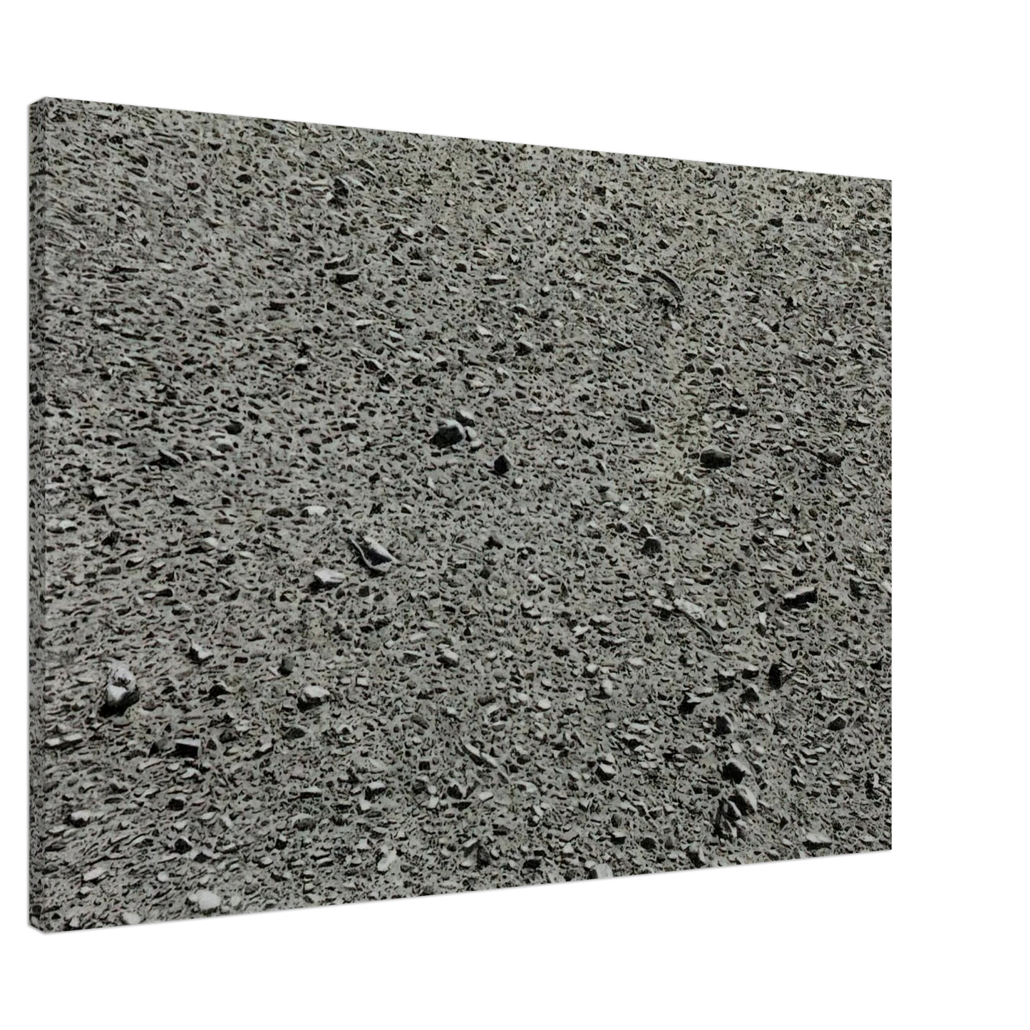 Vija Celmins - DESERT 1975 Canvas - 20x30 cm / 8x12 inches-canvas