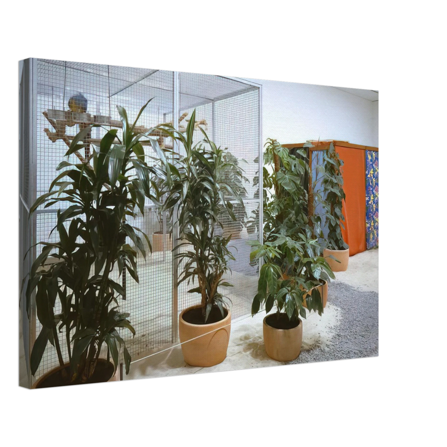 Helio Oiticica - Tropicalia, Penetrables PN 2 'Purity is a myth' and PN 3 'Imagetical' Canvas - 40x60 cm / 16x24 inches-canvas