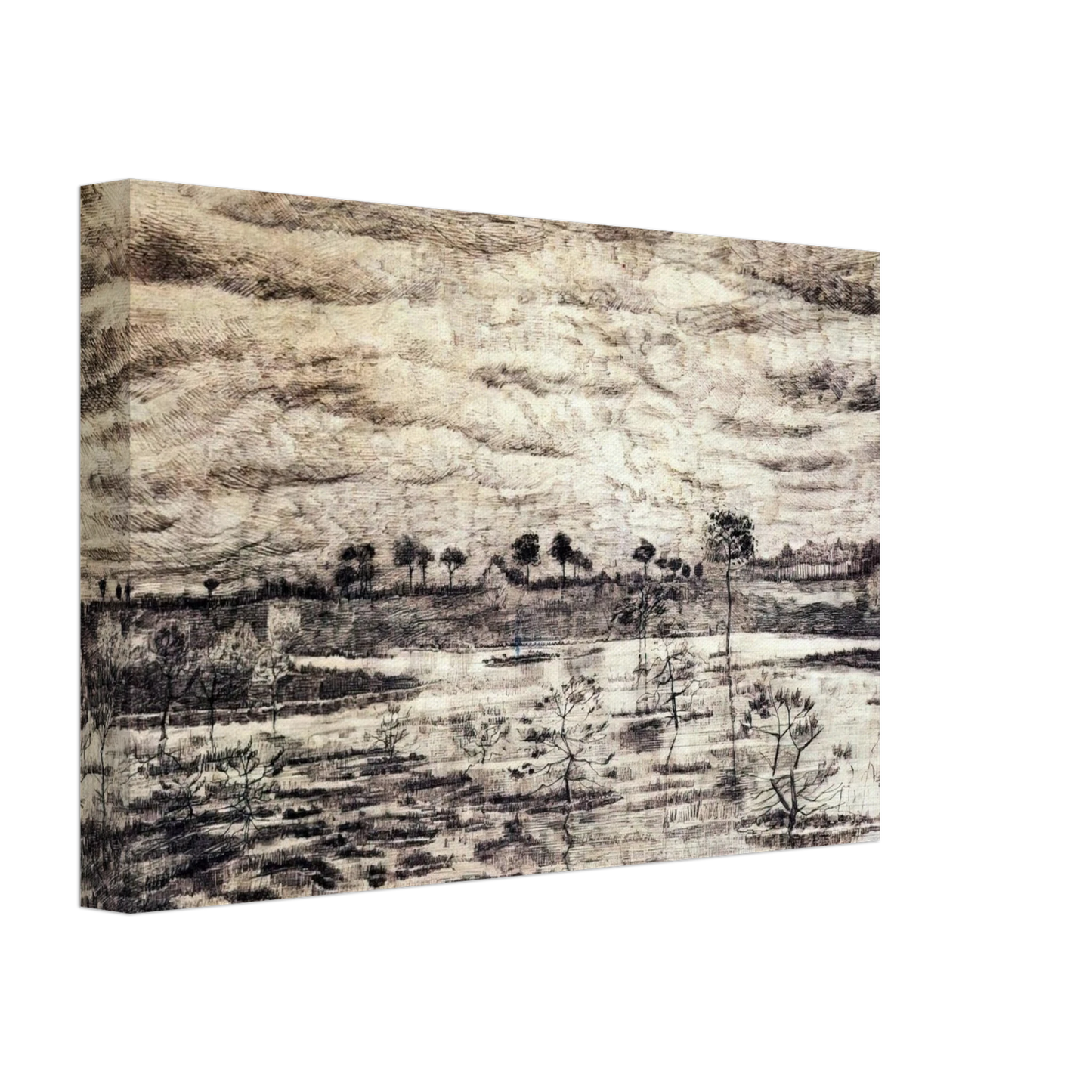 Vincent van Gogh - A Marsh Canvas - 70x100 cm / 28x40 inches-canvas