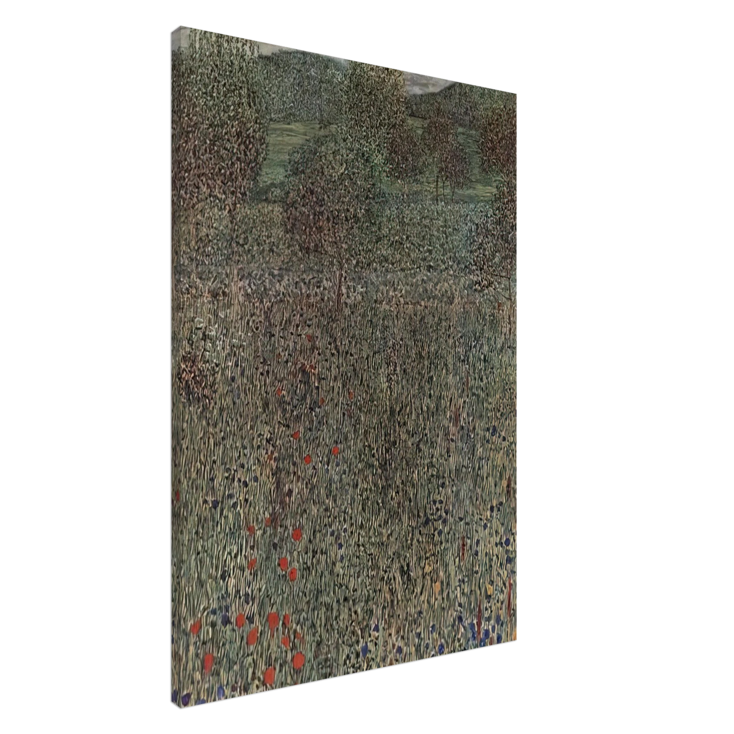 Gustav Klimt - BLOOMING FIELD Canvas - 20x30 cm / 8x12 inches-canvas
