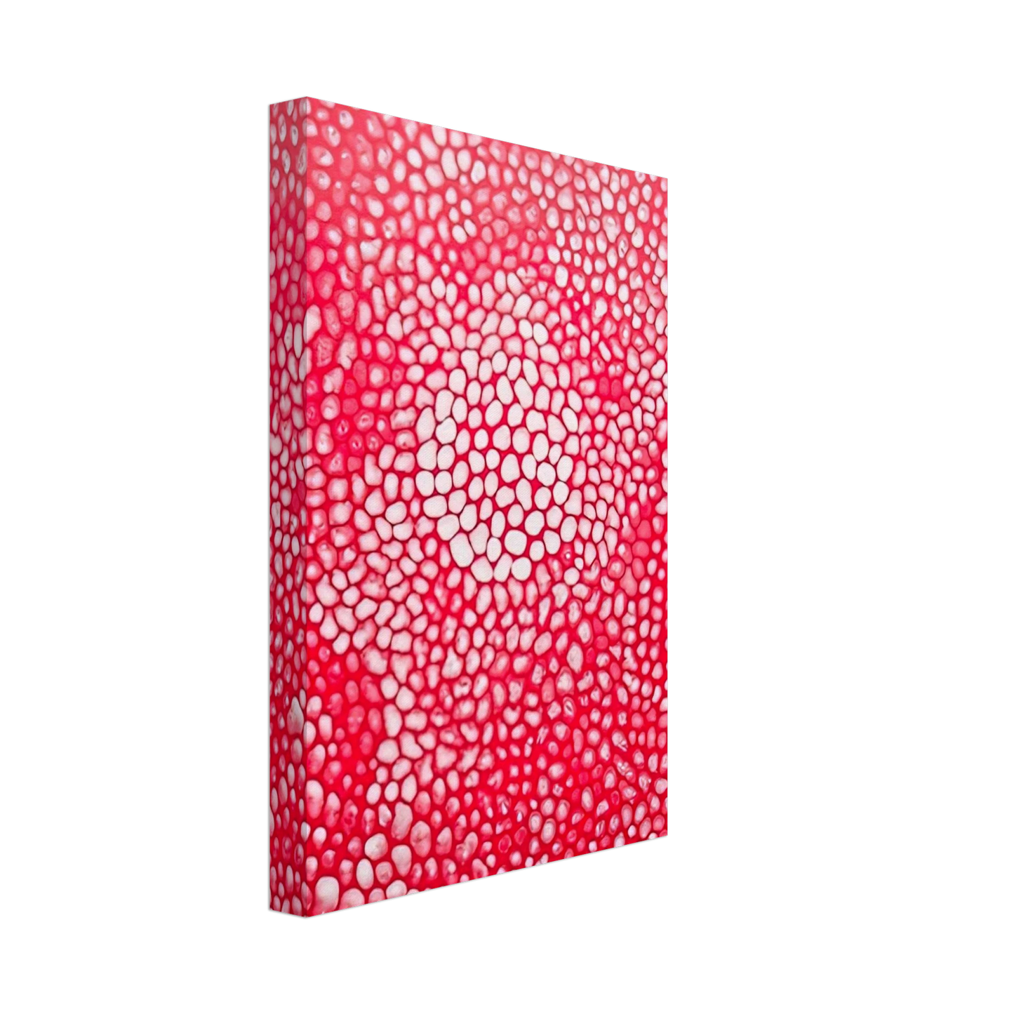 Yayoi Kusama - SUNLIGHT 1998 Canvas - 40x60 cm / 16x24 inches-canvas