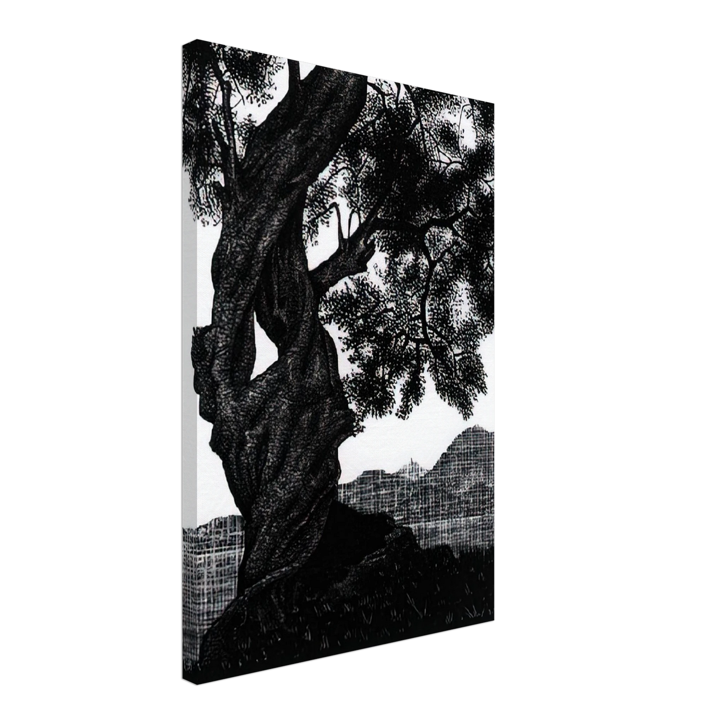 MC Escher - OLD OLIVE TREE CORSICA Canvas - 70x100 cm / 28x40 inches-canvas