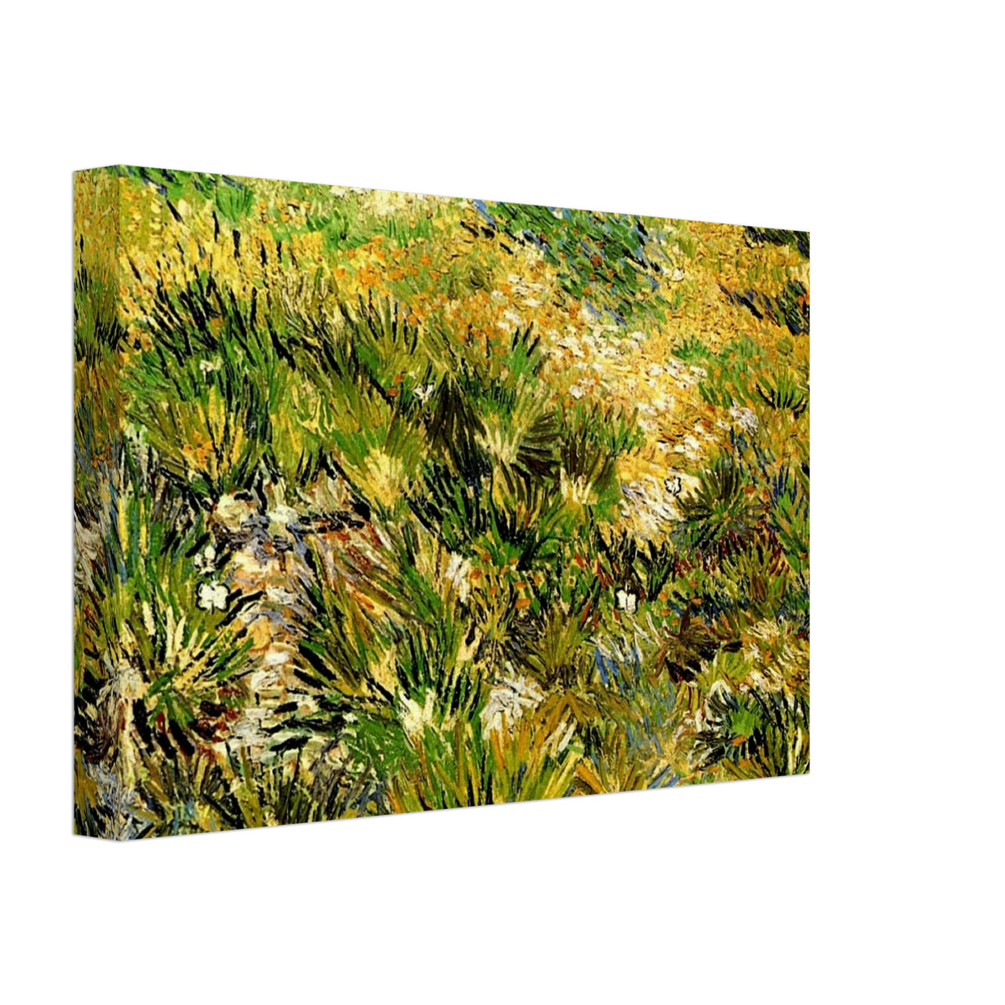 Vincent van Gogh - Meadow in the Garden of Saint-Paul Hospital Canvas - 70x100 cm / 28x40 inches-canvas