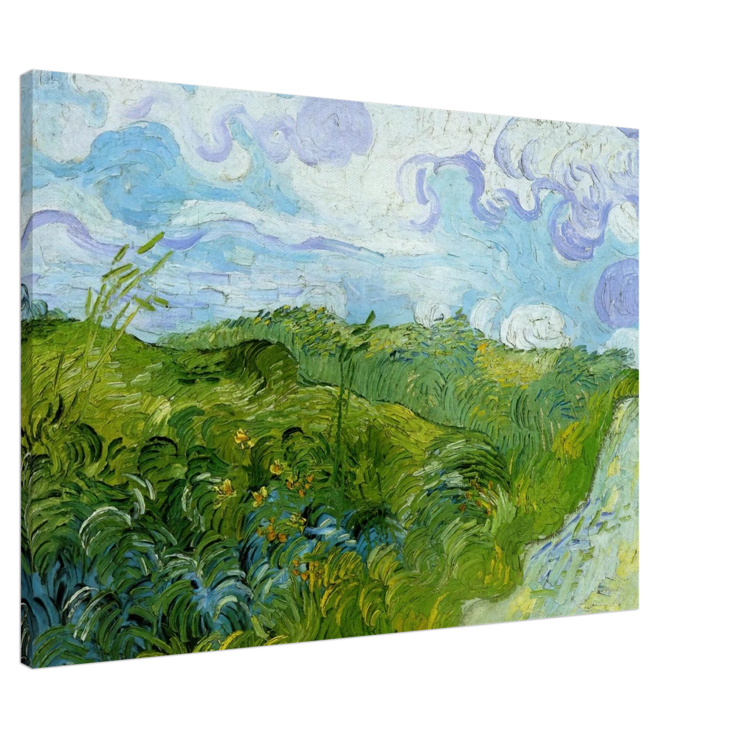 Vincent van Gogh - Green Wheat Fields Canvas - 20x30 cm / 8x12 inches-canvas