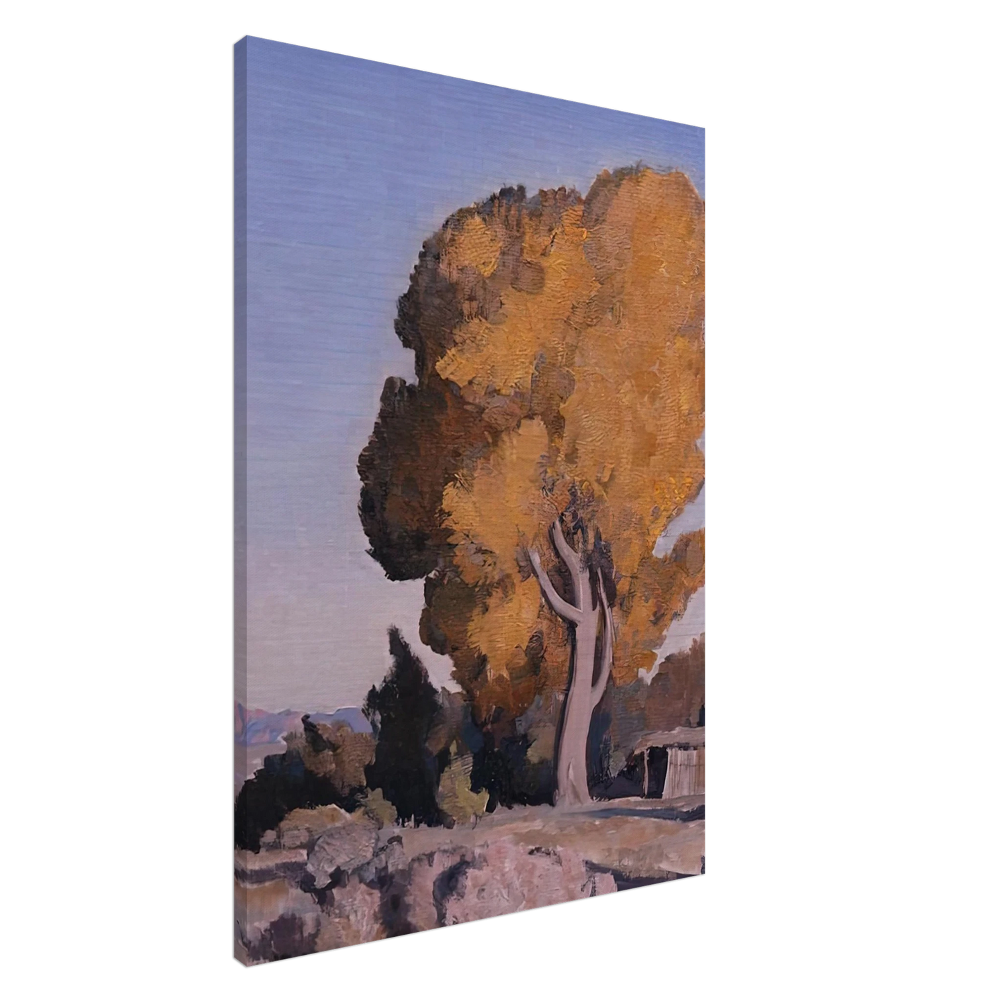 Maynard Dixon - LOW COUNTRY COTTONWOOD 1940 Canvas - 20x30 cm / 8x12 inches-canvas