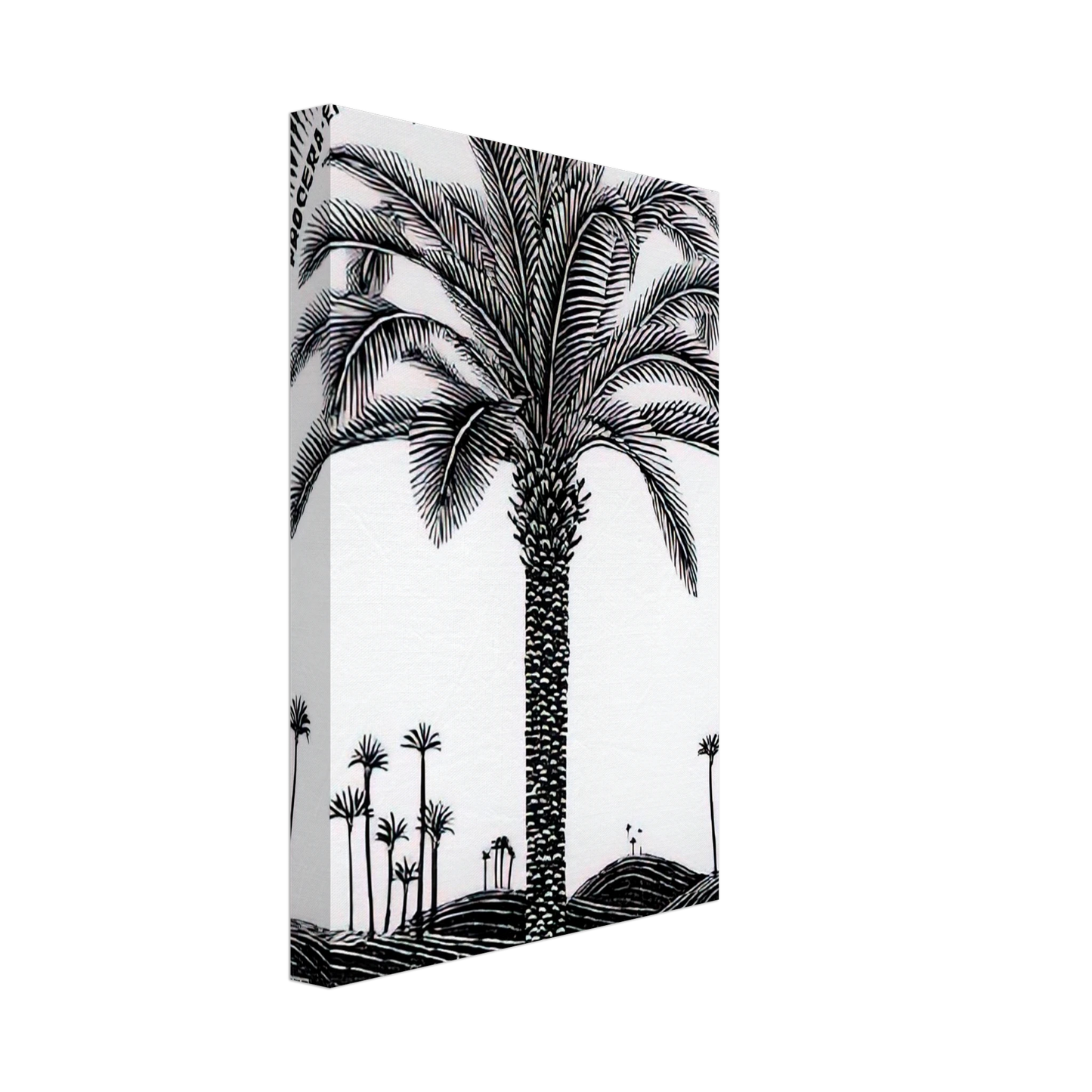 MC Escher - PALM TREE 1 Canvas - 70x100 cm / 28x40 inches-canvas