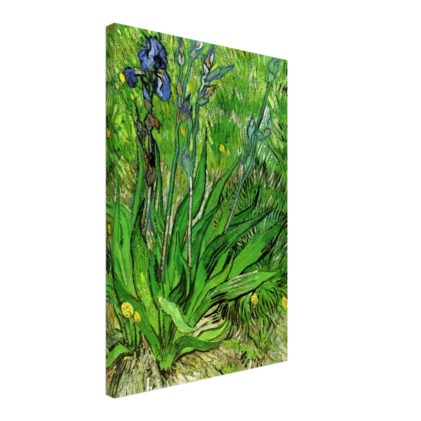 Vincent van Gogh - The Iris Canvas - 40x60 cm / 16x24 inches-canvas
