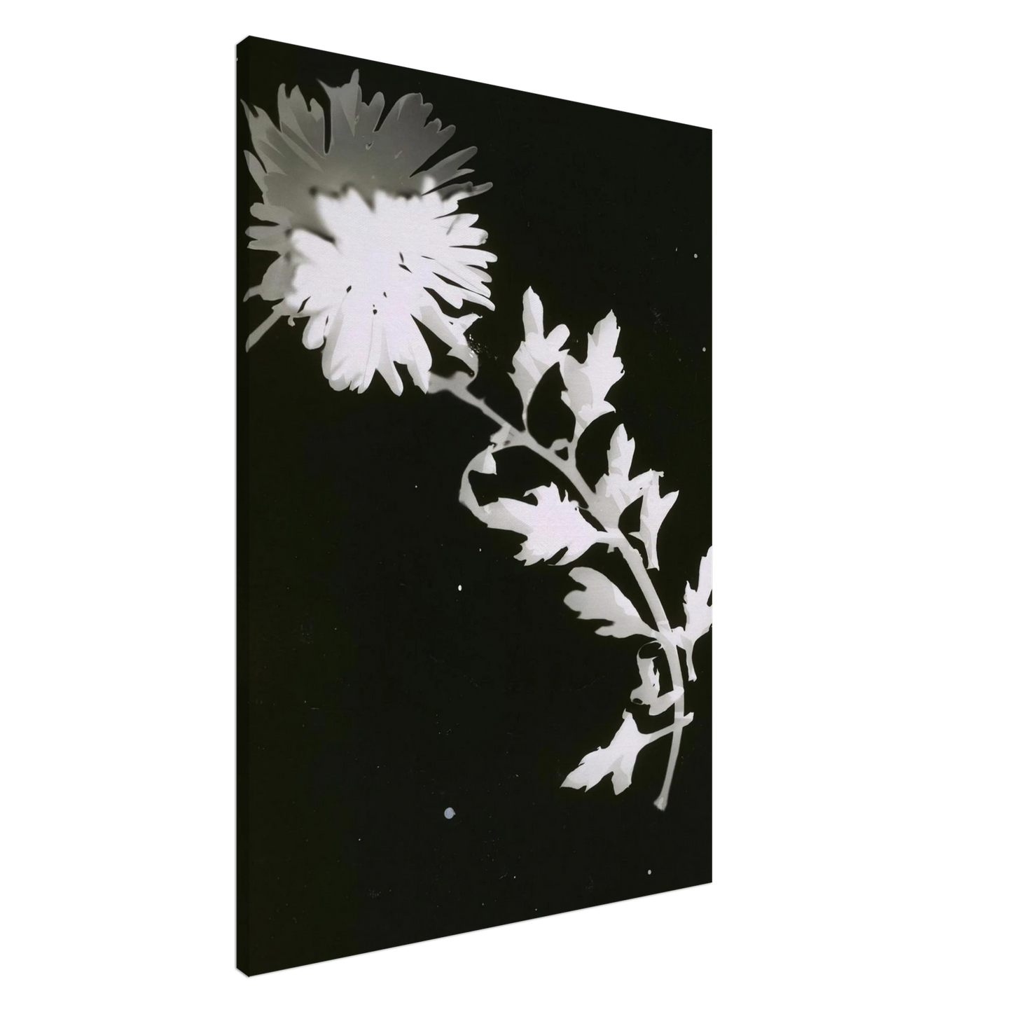 Laszlo Moholy-Nagy - Flower Canvas - 20x30 cm / 8x12 inches-canvas