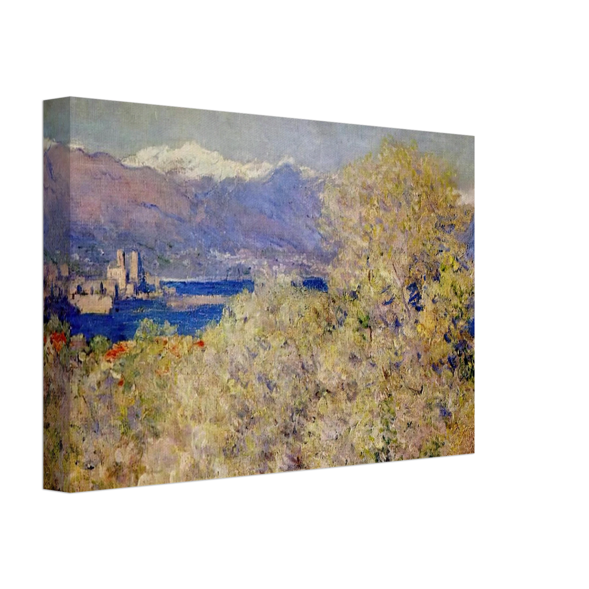 claude monet - Antibes - View of the Salis Gardens Canvas - 40x60 cm / 16x24 inches-canvas