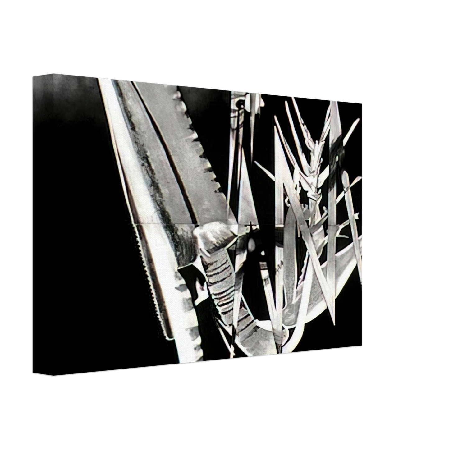 James Rosenquist - The Prickly Dark Canvas - 70x100 cm / 28x40 inches-canvas