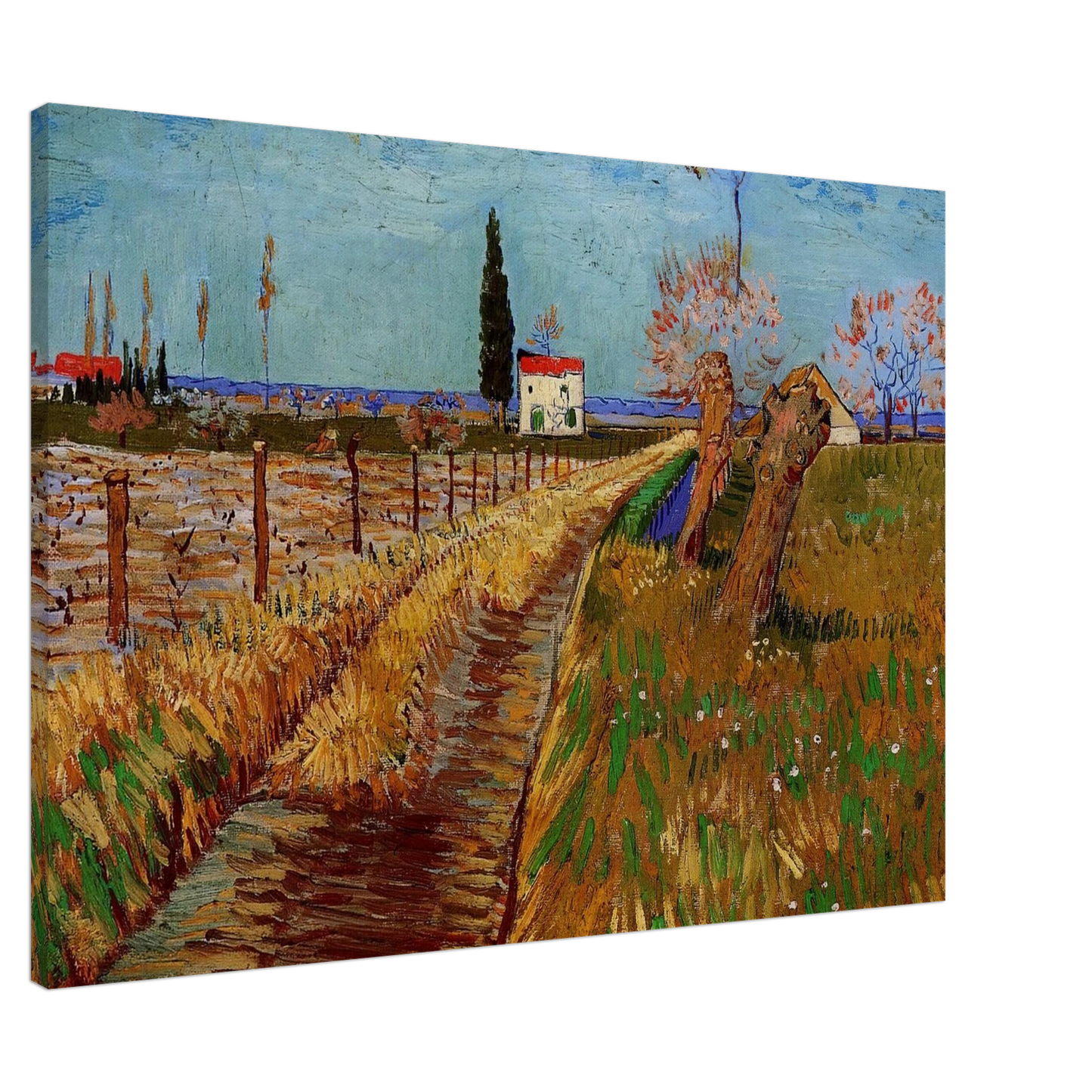 Vincent van Gogh - Path Through a Field with Willows Canvas - 20x30 cm / 8x12 inches-canvas