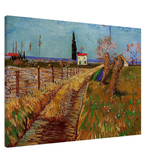 Vincent van Gogh - Path Through a Field with Willows Canvas - 20x30 cm / 8x12 inches-canvas