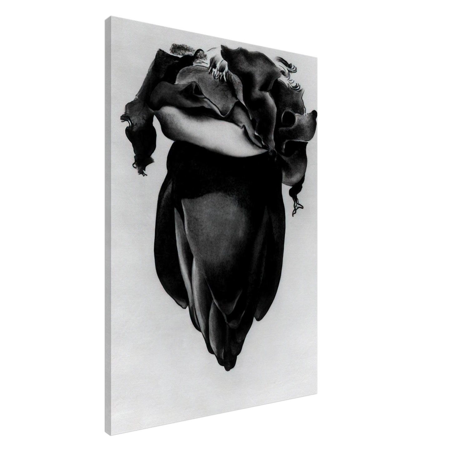 Georgia O'Keeffe - Banana Flower Canvas - 20x30 cm / 8x12 inches-canvas