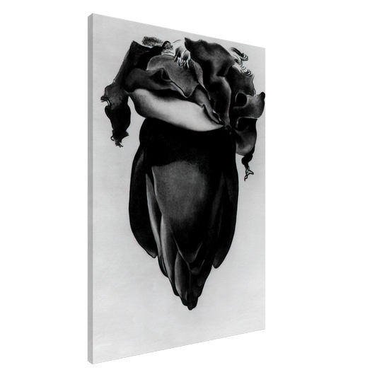 Georgia O'Keeffe - Banana Flower Canvas - 20x30 cm / 8x12 inches-canvas