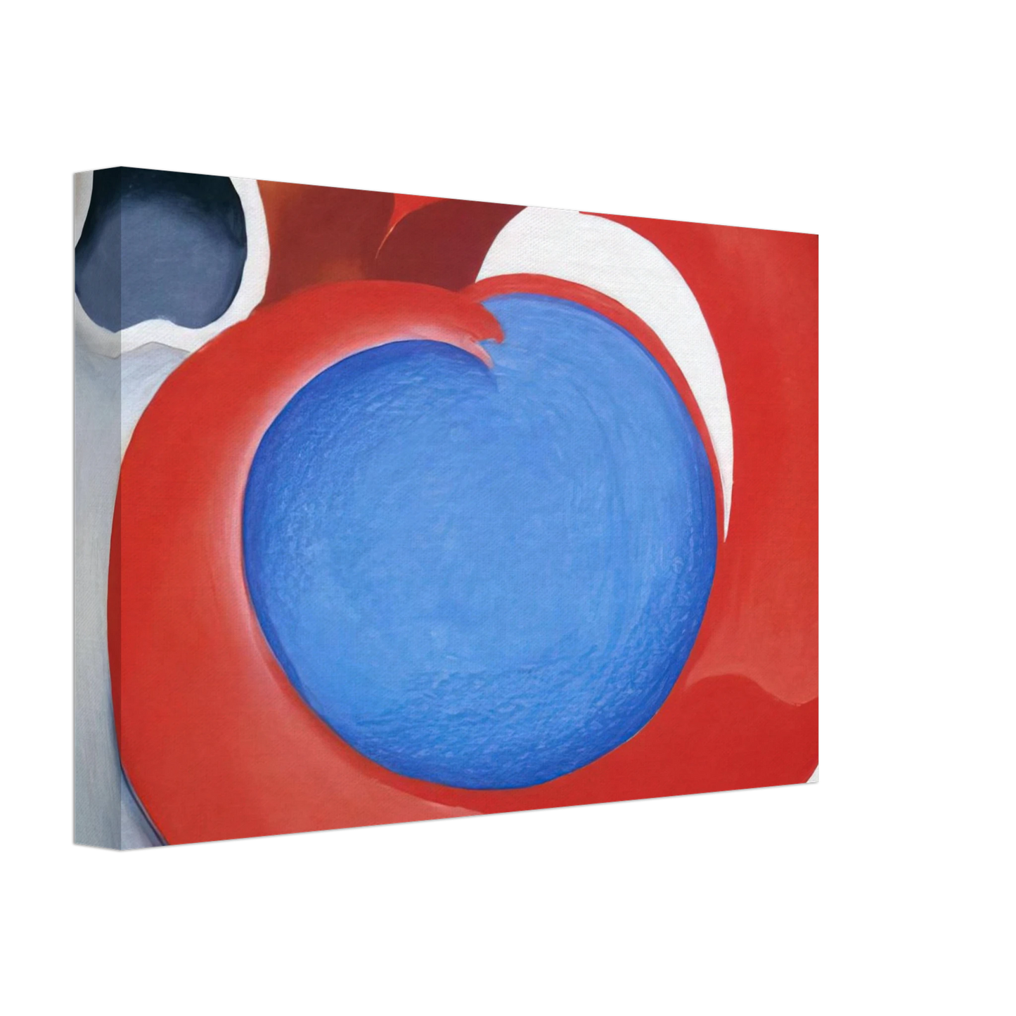 Georgia O'Keeffe - Goat's Horn With Red Canvas - 70x100 cm / 28x40 inches-canvas