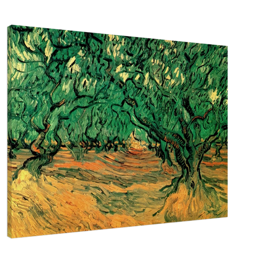 Vincent van Gogh - Olive Trees Canvas - 20x30 cm / 8x12 inches-canvas