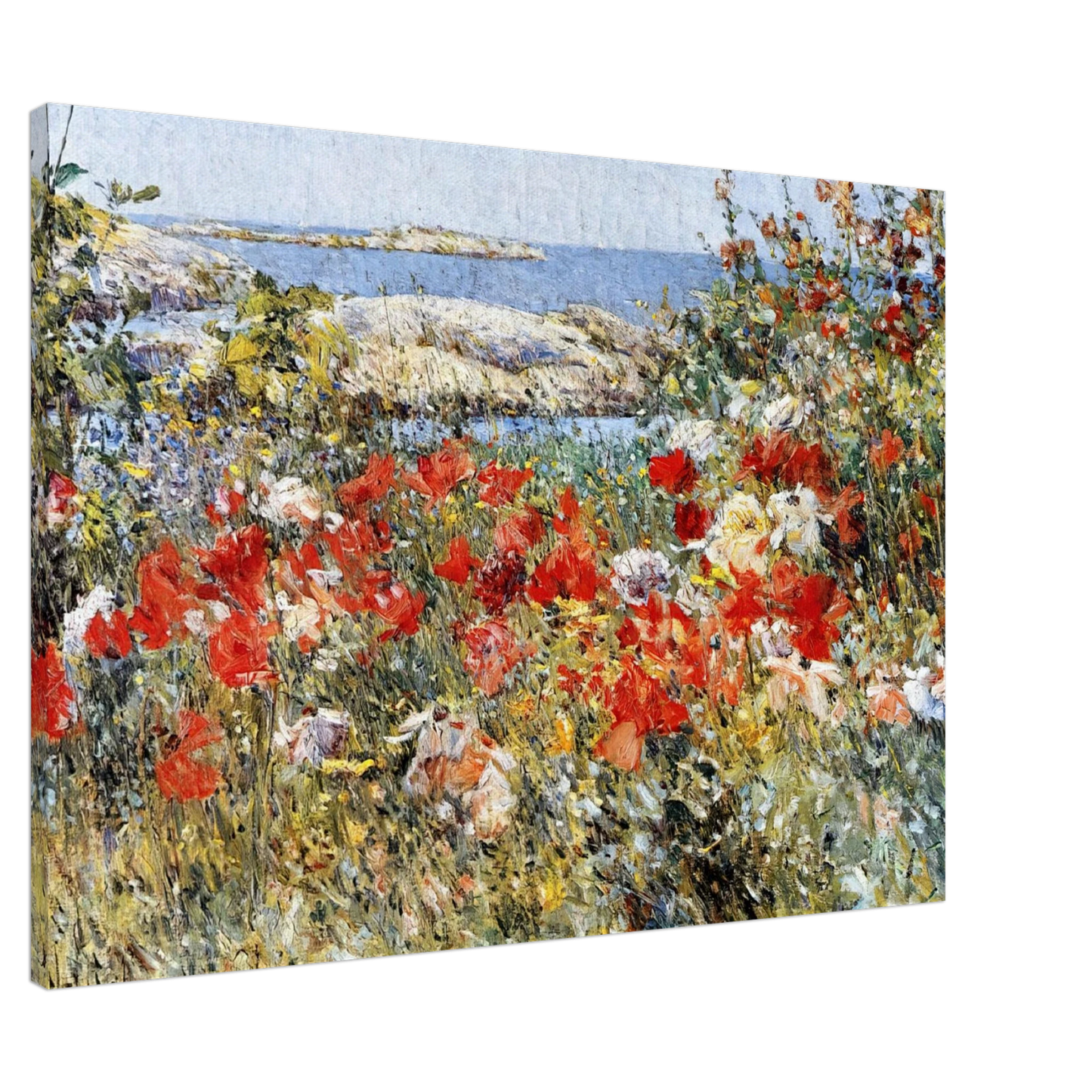 Childe Hassam - Celia Thaxter's Garden, Isles of Shoals, Maine Canvas - 20x30 cm / 8x12 inches-canvas