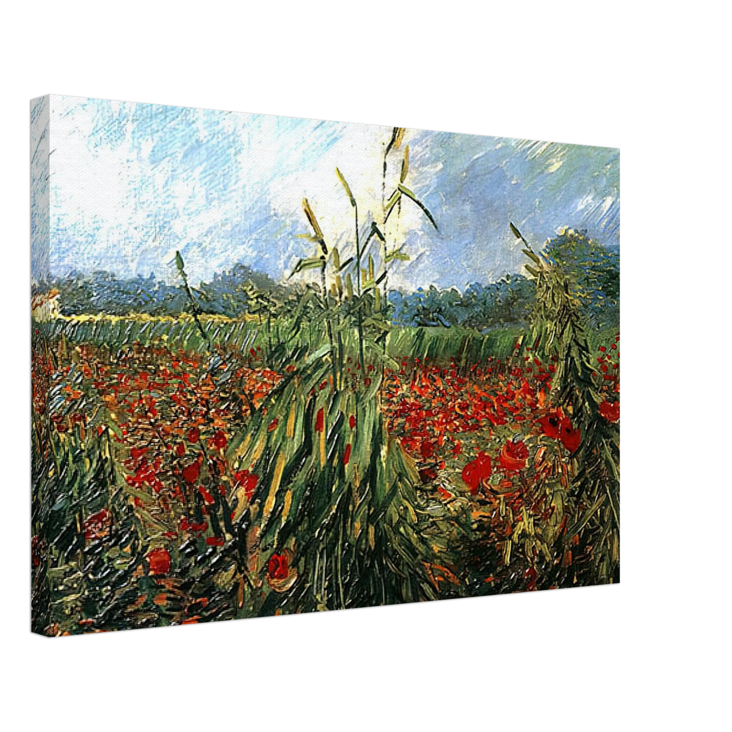 Vincent van Gogh - Green Ears of Wheat Canvas - 70x100 cm / 28x40 inches-canvas