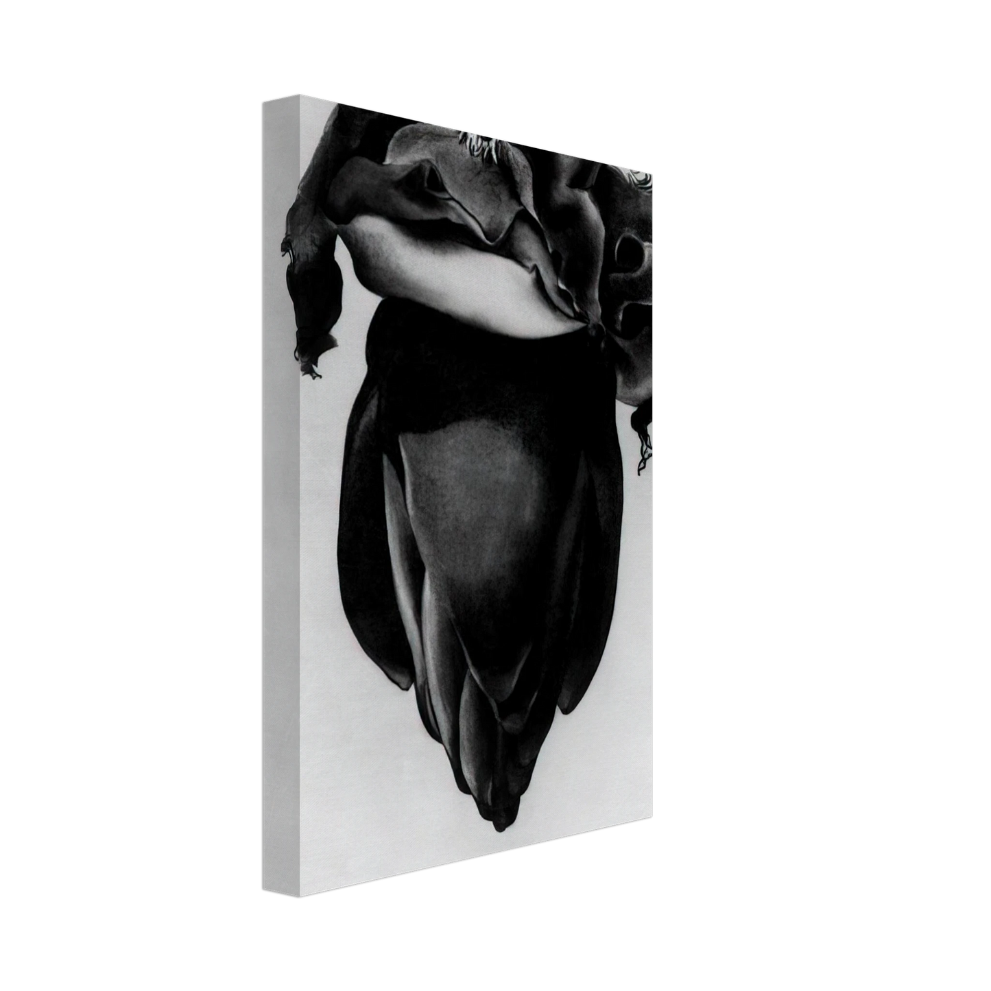 Georgia O'Keeffe - Banana Flower Canvas - 70x100 cm / 28x40 inches-canvas