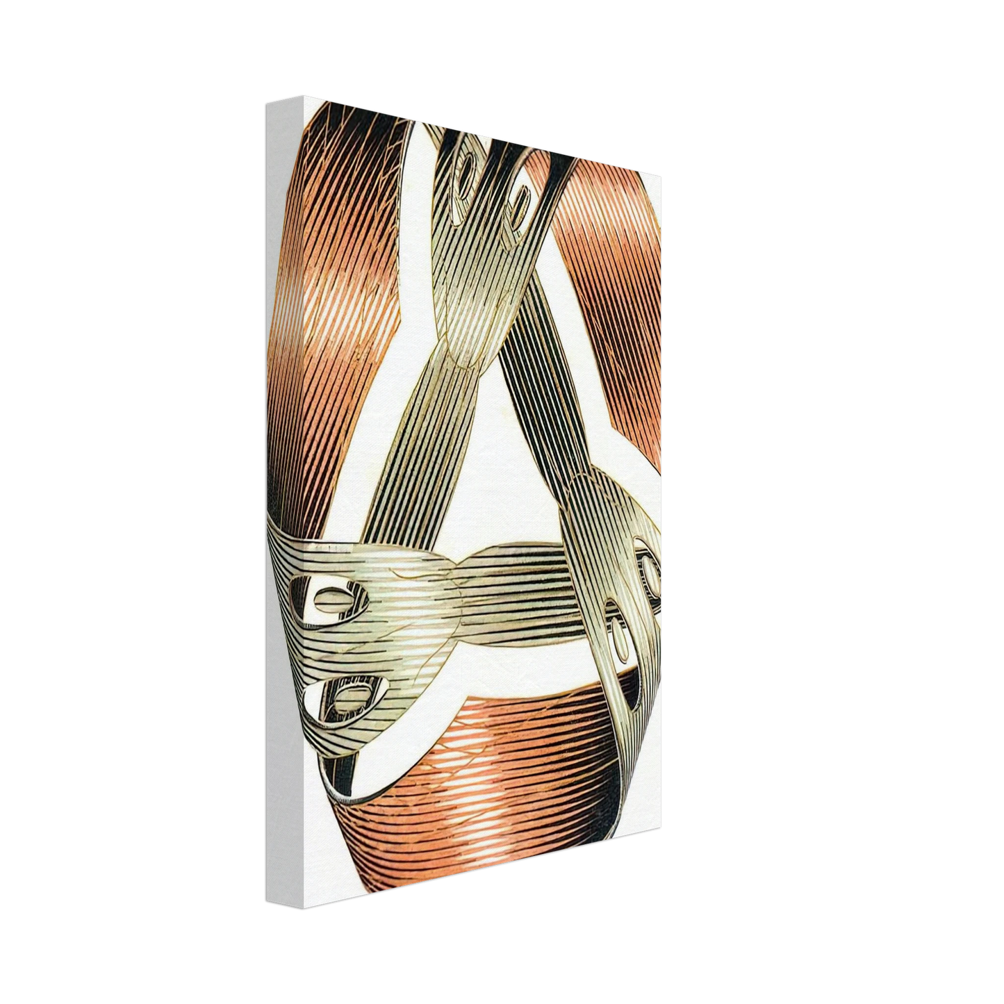 MC Escher - MOEBIUS STRIP I Canvas - 70x100 cm / 28x40 inches-canvas