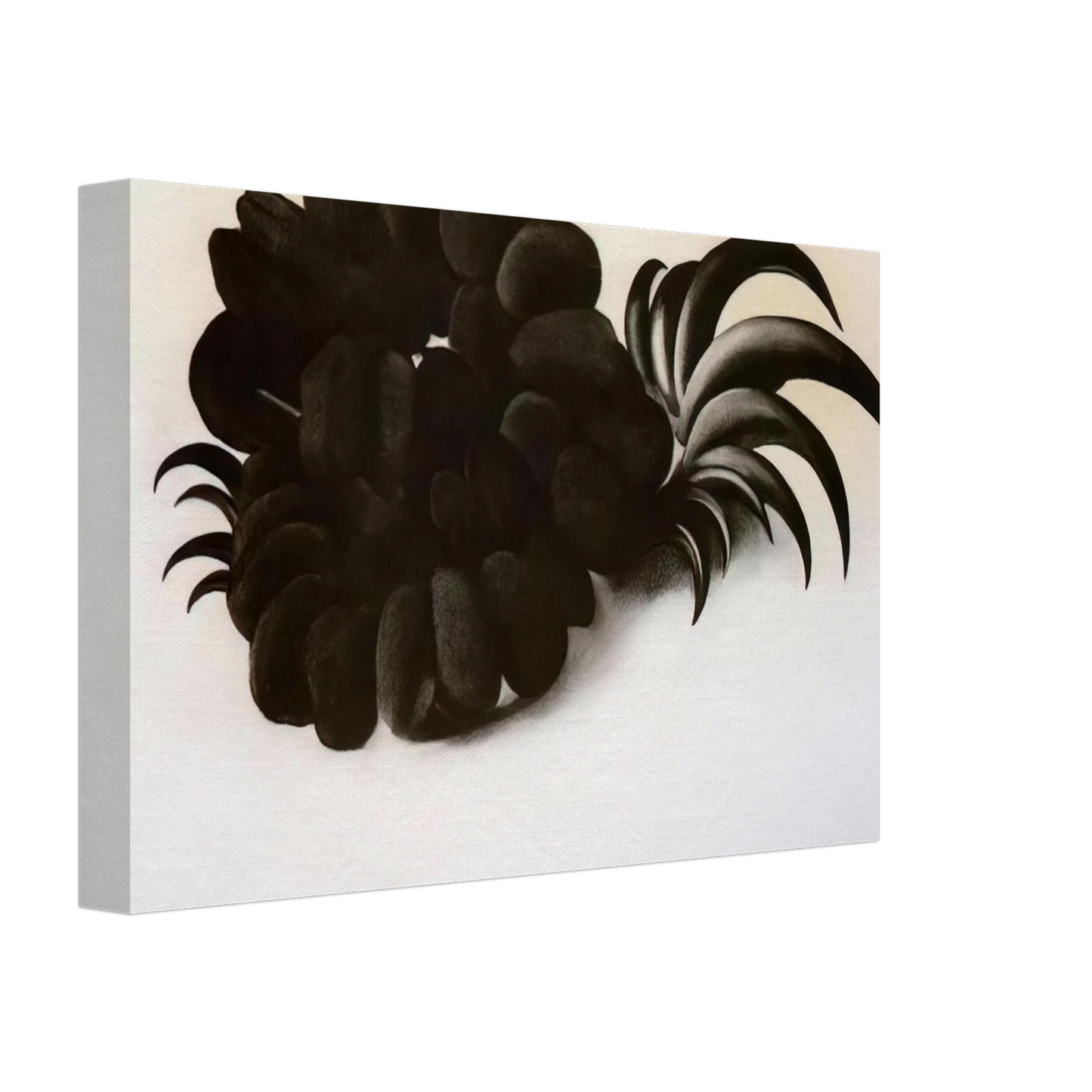 Georgia O'Keeffe - Eagle Claw and Bean Necklace Canvas - 70x100 cm / 28x40 inches-canvas