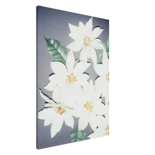 Andy Warhol - Christmas Poinsettias-White Canvas - 20x30 cm / 8x12 inches-canvas