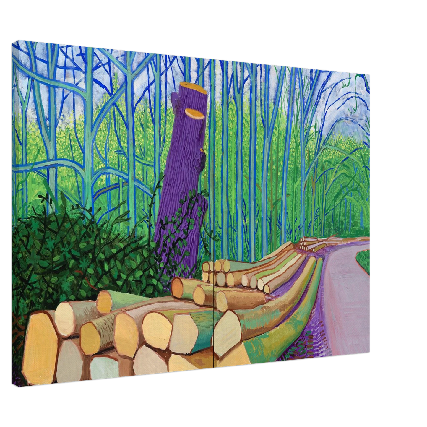 David Hockney - David Hockney Canvas - 20x30 cm / 8x12 inches-canvas