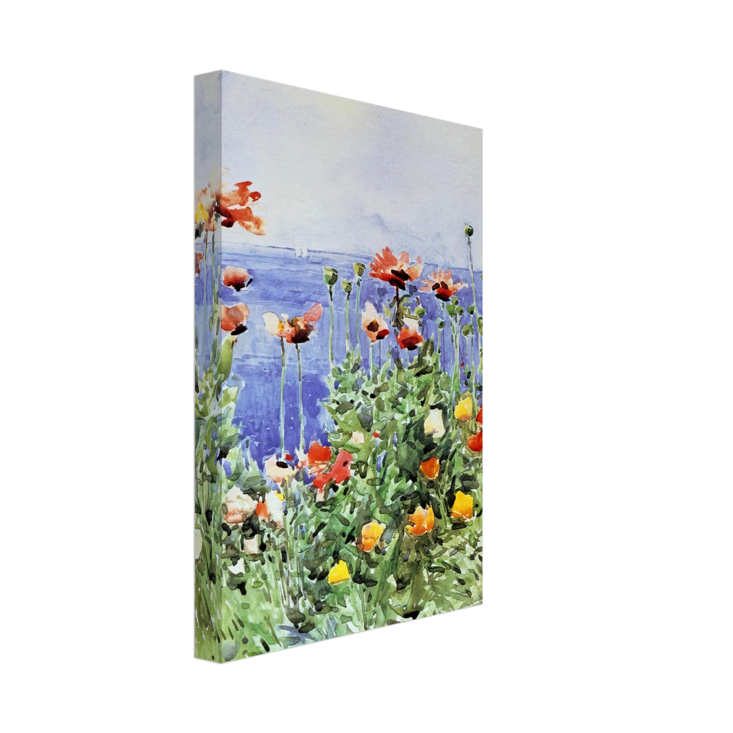 Childe Hassam - Poppies, Isles of Shoals 02 Canvas - 70x100 cm / 28x40 inches-canvas