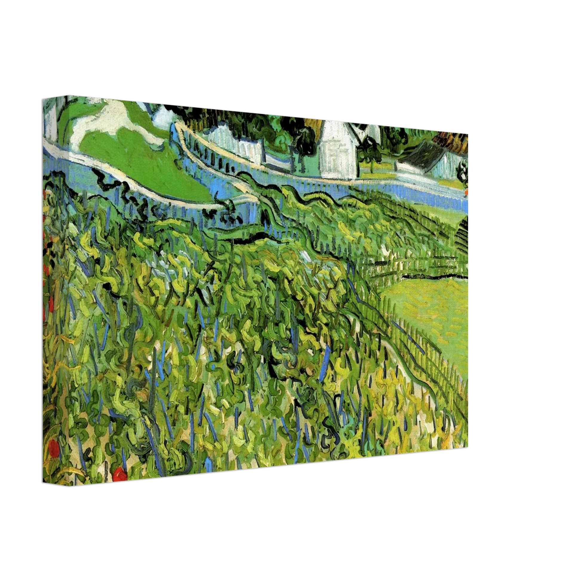 Vincent van Gogh - Vineyards with a View of Auvers Canvas - 70x100 cm / 28x40 inches-canvas