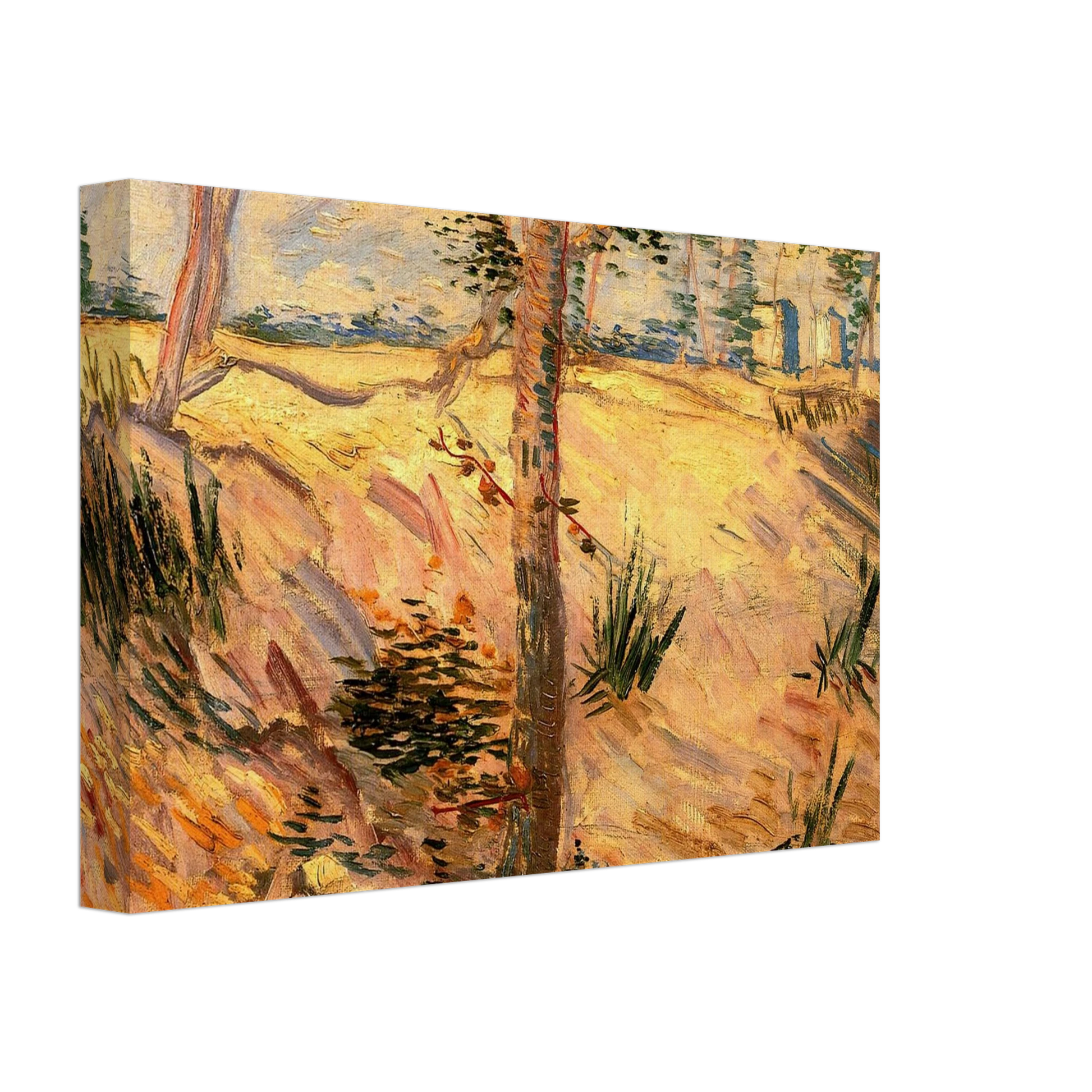 Vincent van Gogh - Trees in a Field on a Sunny Day Canvas - 40x60 cm / 16x24 inches-canvas