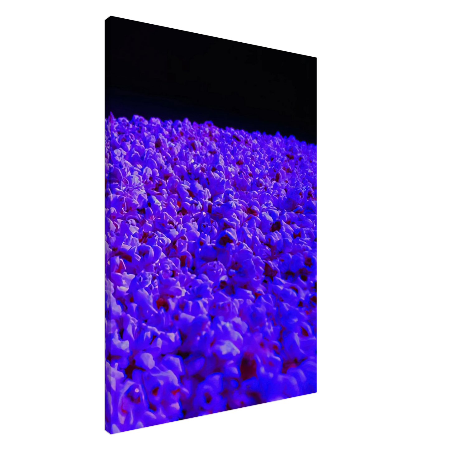 Lygia Pape - Moon Light - 1995 Canvas - 20x30 cm / 8x12 inches-canvas