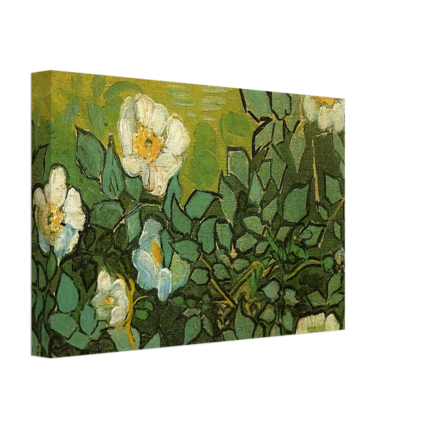 Vincent van Gogh - Wild Roses Canvas - 40x60 cm / 16x24 inches-canvas