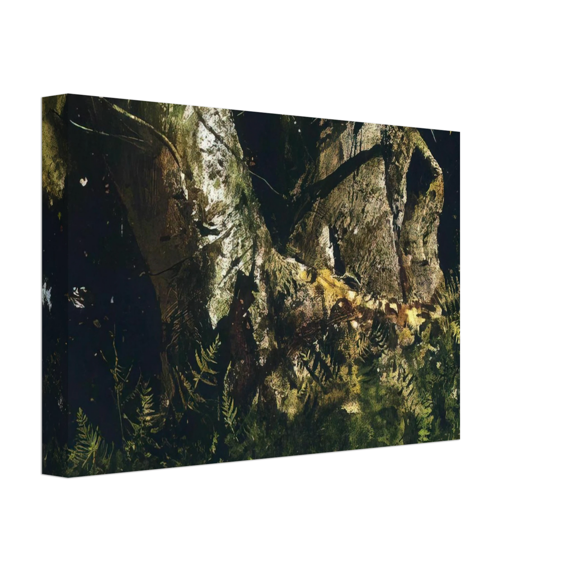 Andrew Wyeth - VIRGIN BIRCH 1982 Canvas - 40x60 cm / 16x24 inches-canvas