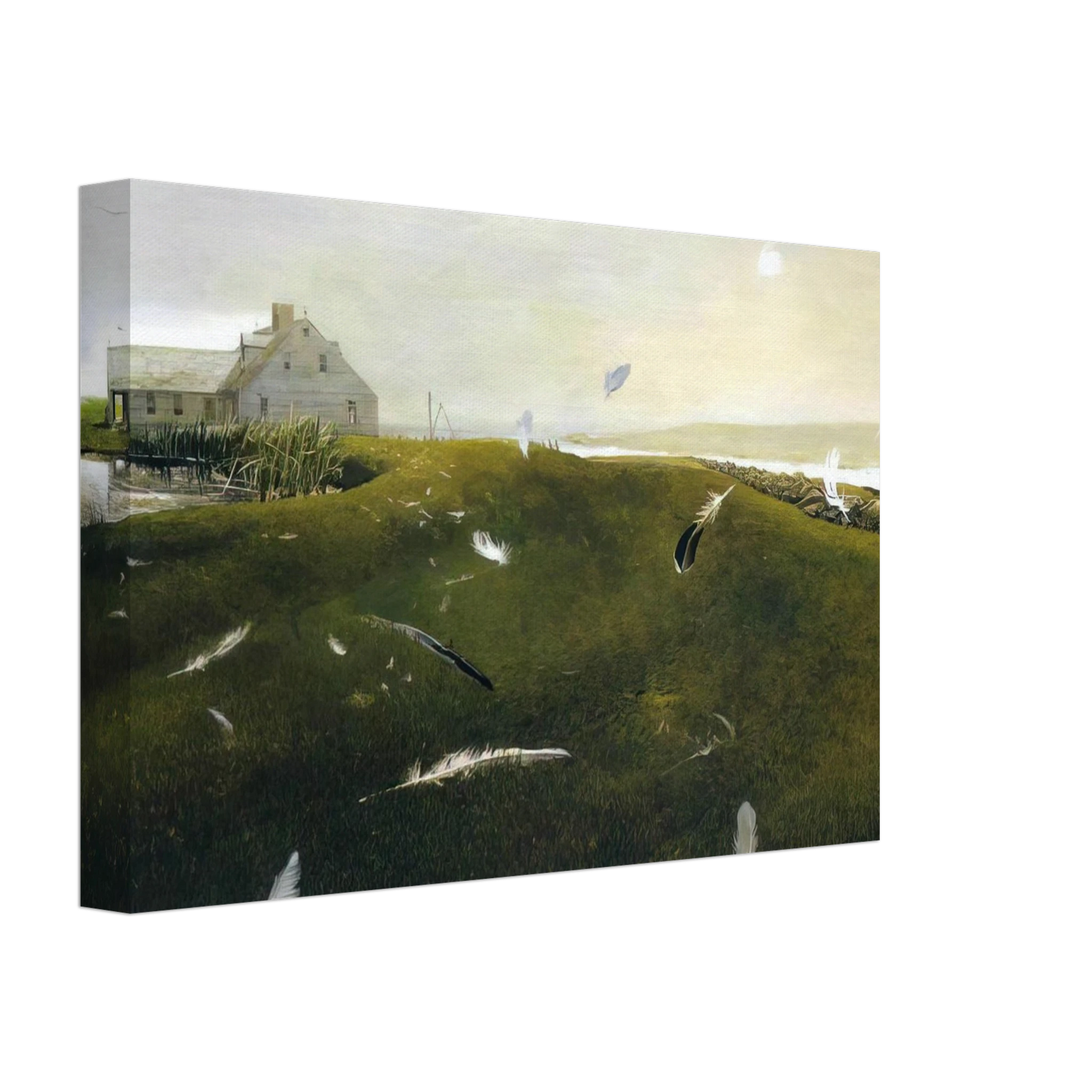 Andrew Wyeth - AIRBORNE Canvas - 40x60 cm / 16x24 inches-canvas