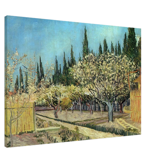 Vincent van Gogh - Orchard in Blossom, Bordered by Cypresses Canvas - 20x30 cm / 8x12 inches-canvas