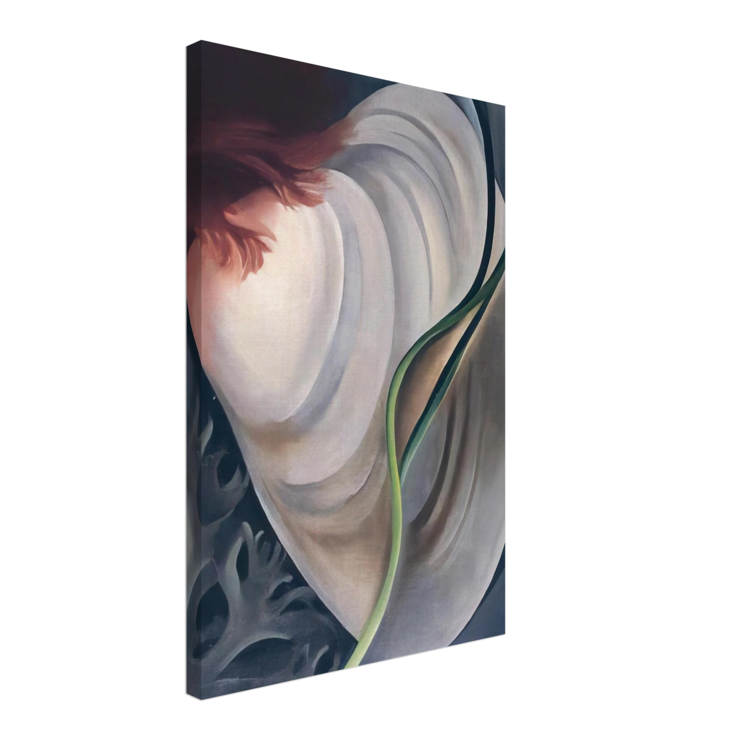 Georgia O'Keeffe - Shell No 2 Canvas - 40x60 cm / 16x24 inches-canvas