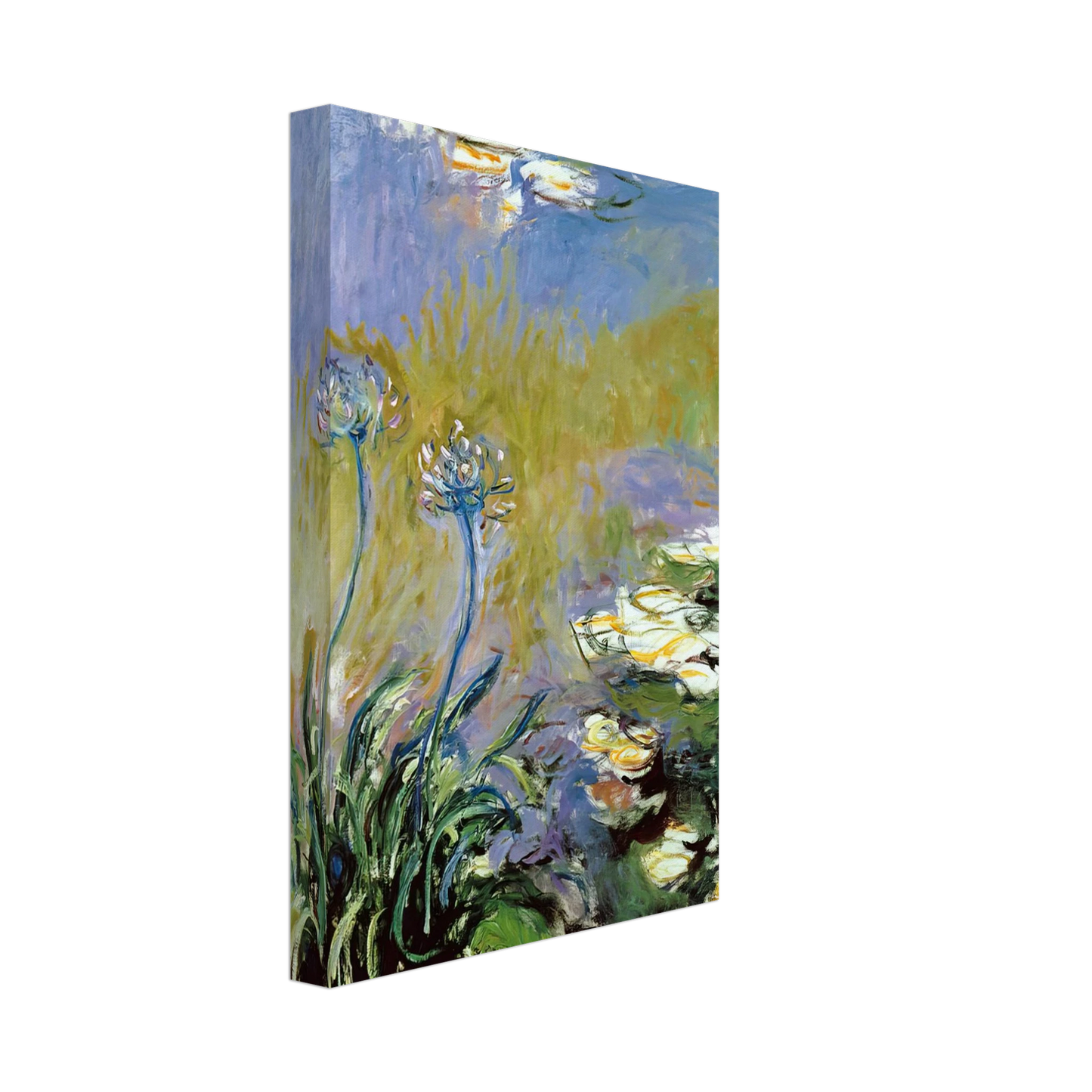 claude monet - Agapanthus Canvas - 70x100 cm / 28x40 inches-canvas