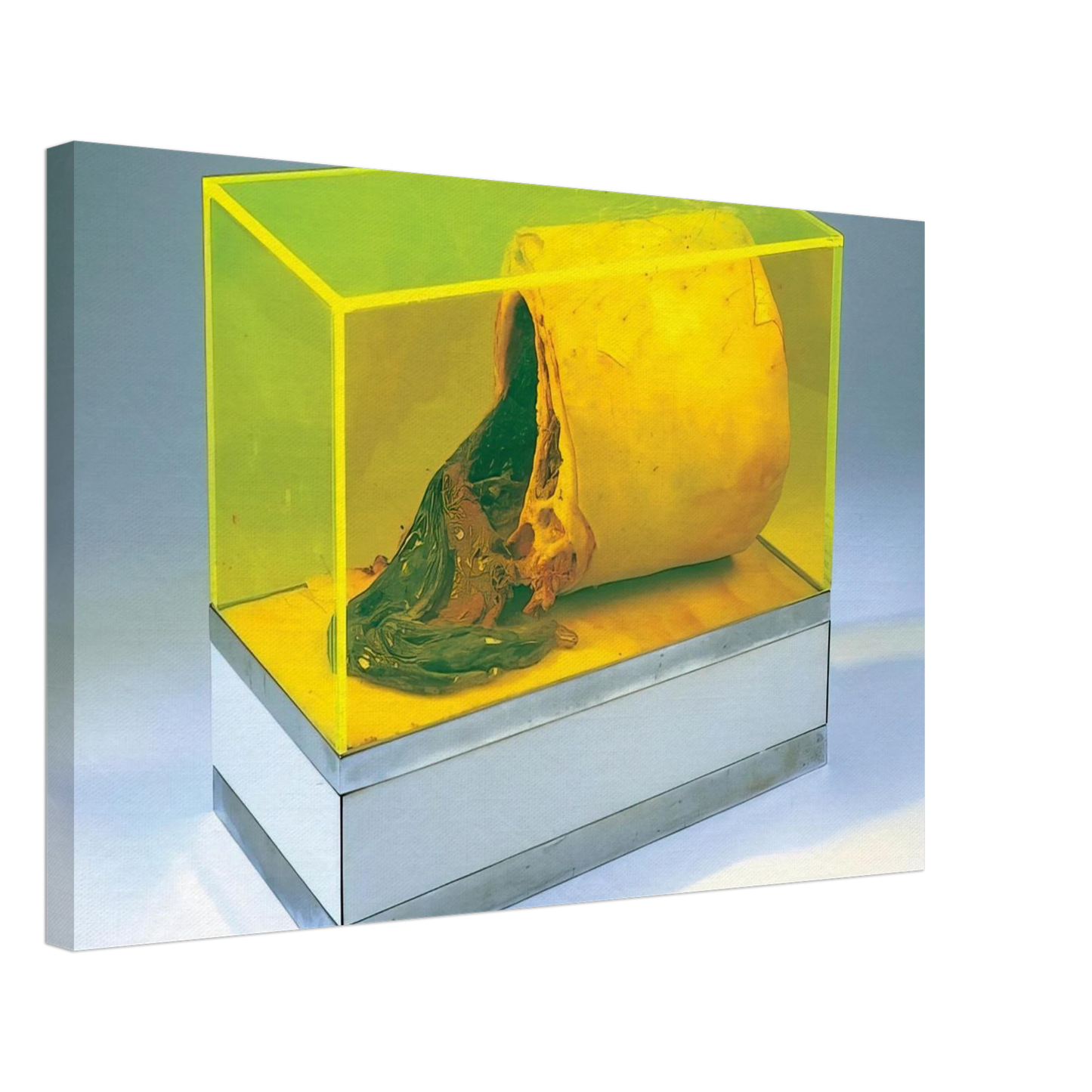 Paul Thek - Untitled - 1966 Canvas - 70x100 cm / 28x40 inches-canvas