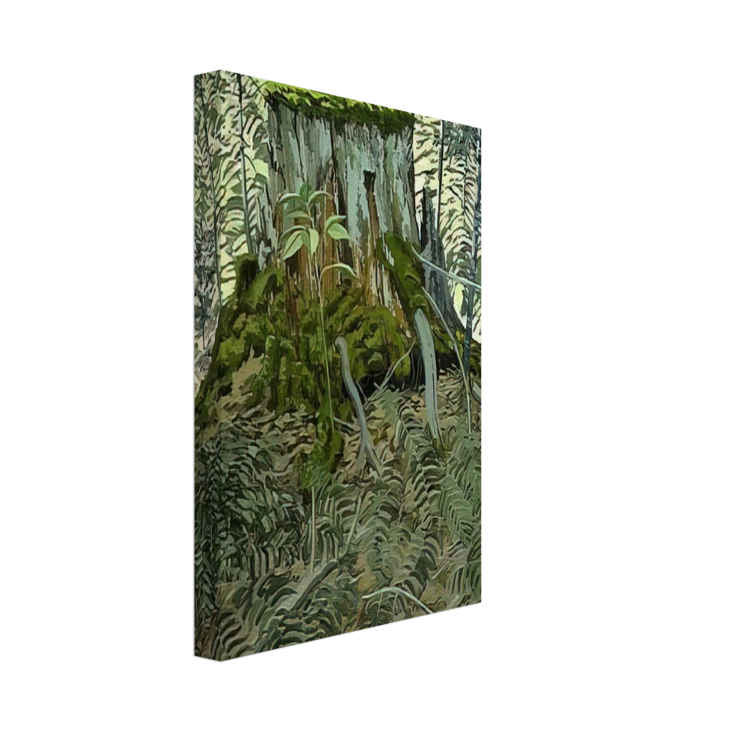 Neil Welliver - Stump and Ferns - Contemporary Realism Canvas - 70x100 cm / 28x40 inches-canvas