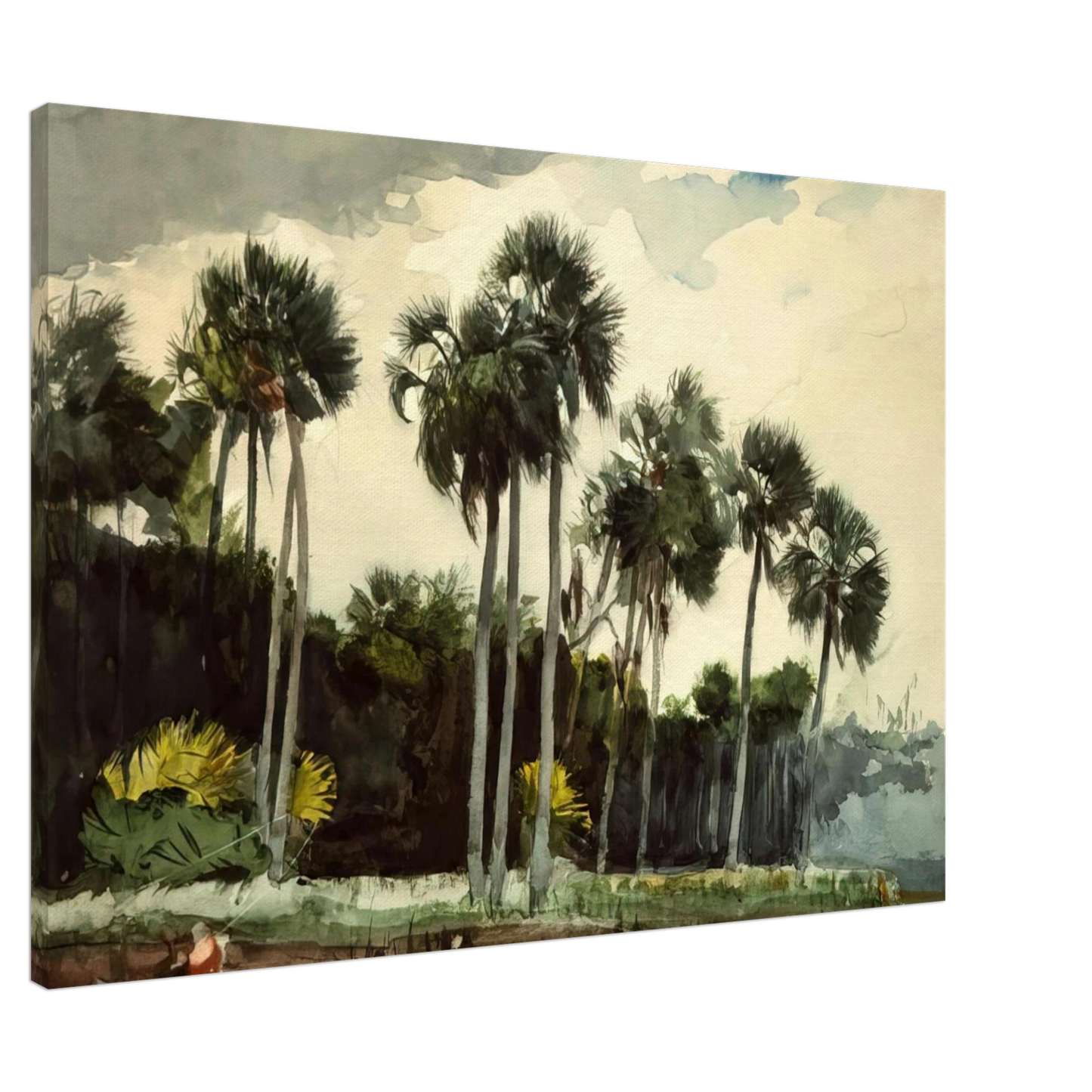 Winslow Homer - THE TURKEY BUZZARD Canvas - 20x30 cm / 8x12 inches-canvas