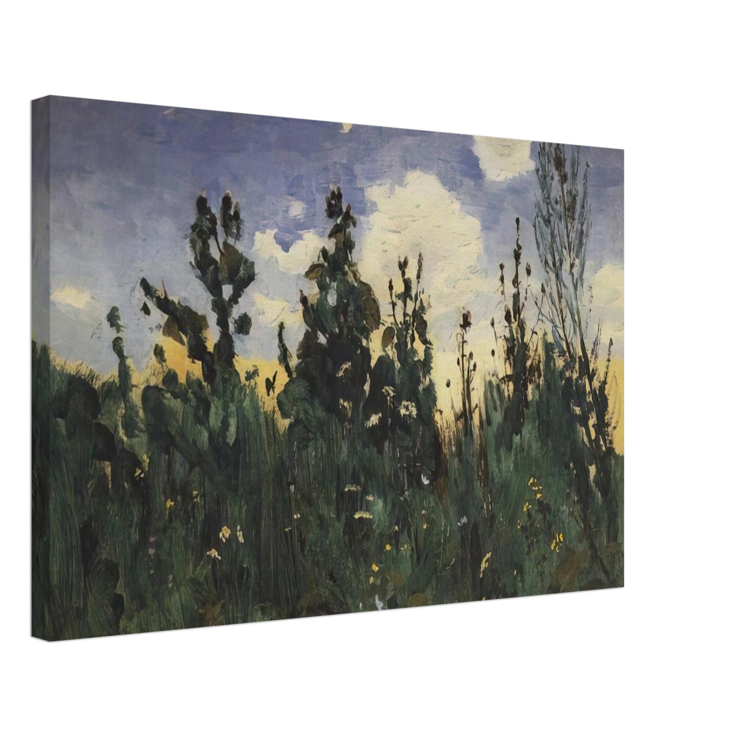 Arkhyp Kuindzhi - Wild grass Canvas - 70x100 cm / 28x40 inches-canvas