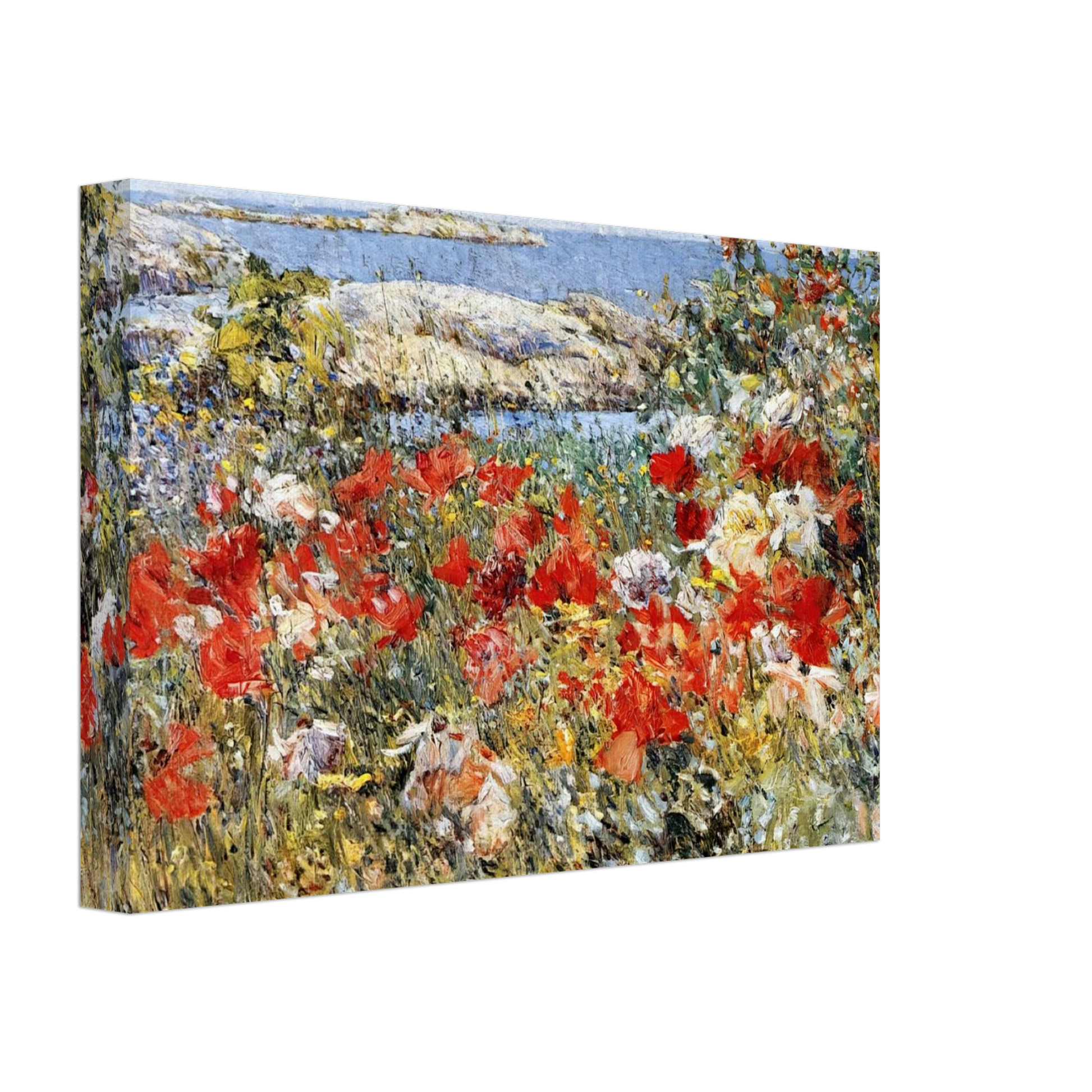 Childe Hassam - Celia Thaxter's Garden, Isles of Shoals, Maine Canvas - 70x100 cm / 28x40 inches-canvas
