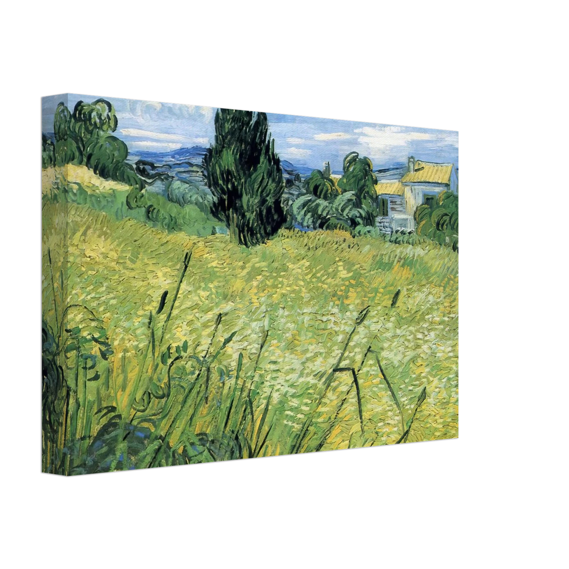 Vincent van Gogh - Green Wheat Field with Cypress Canvas - 40x60 cm / 16x24 inches-canvas