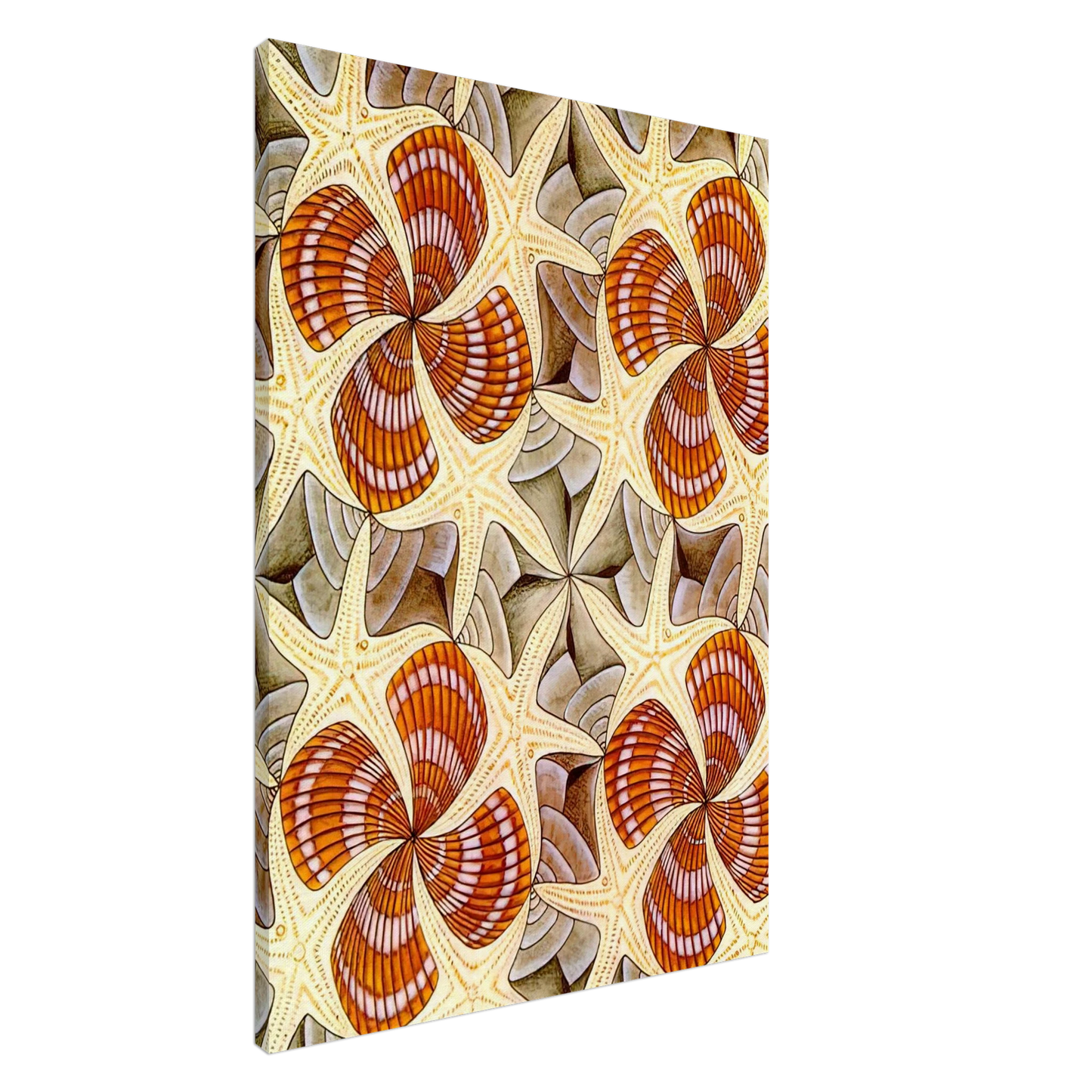 MC Escher - SHELLS AND STARFISH Canvas - 20x30 cm / 8x12 inches-canvas