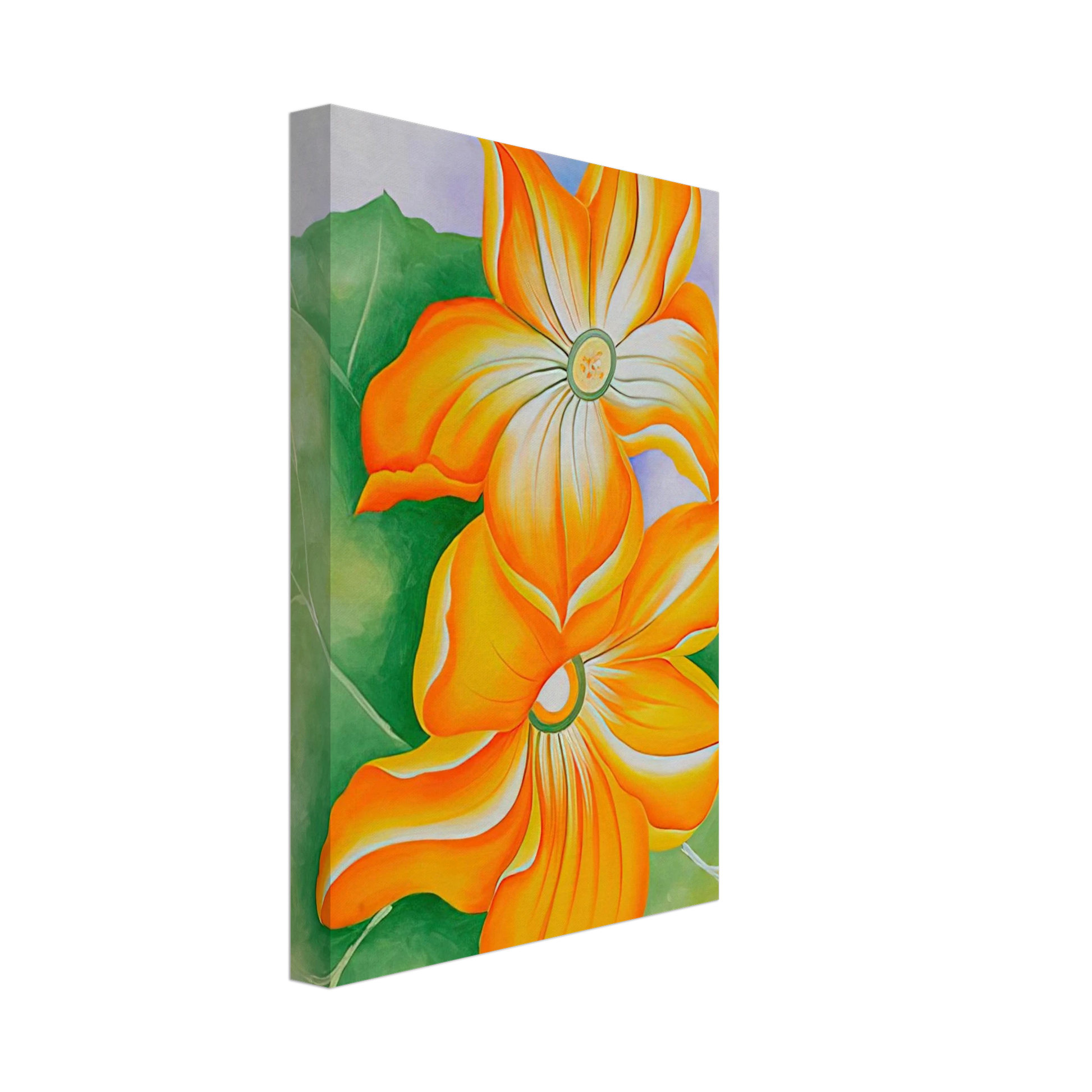 Georgia O'Keeffe - Squash Blossoms Canvas - 40x60 cm / 16x24 inches-canvas
