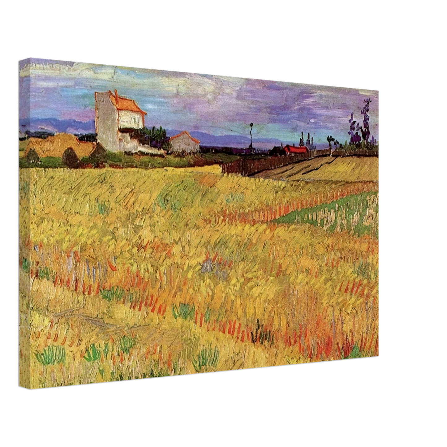 Vincent van Gogh - Wheat Field Canvas - 40x60 cm / 16x24 inches-canvas