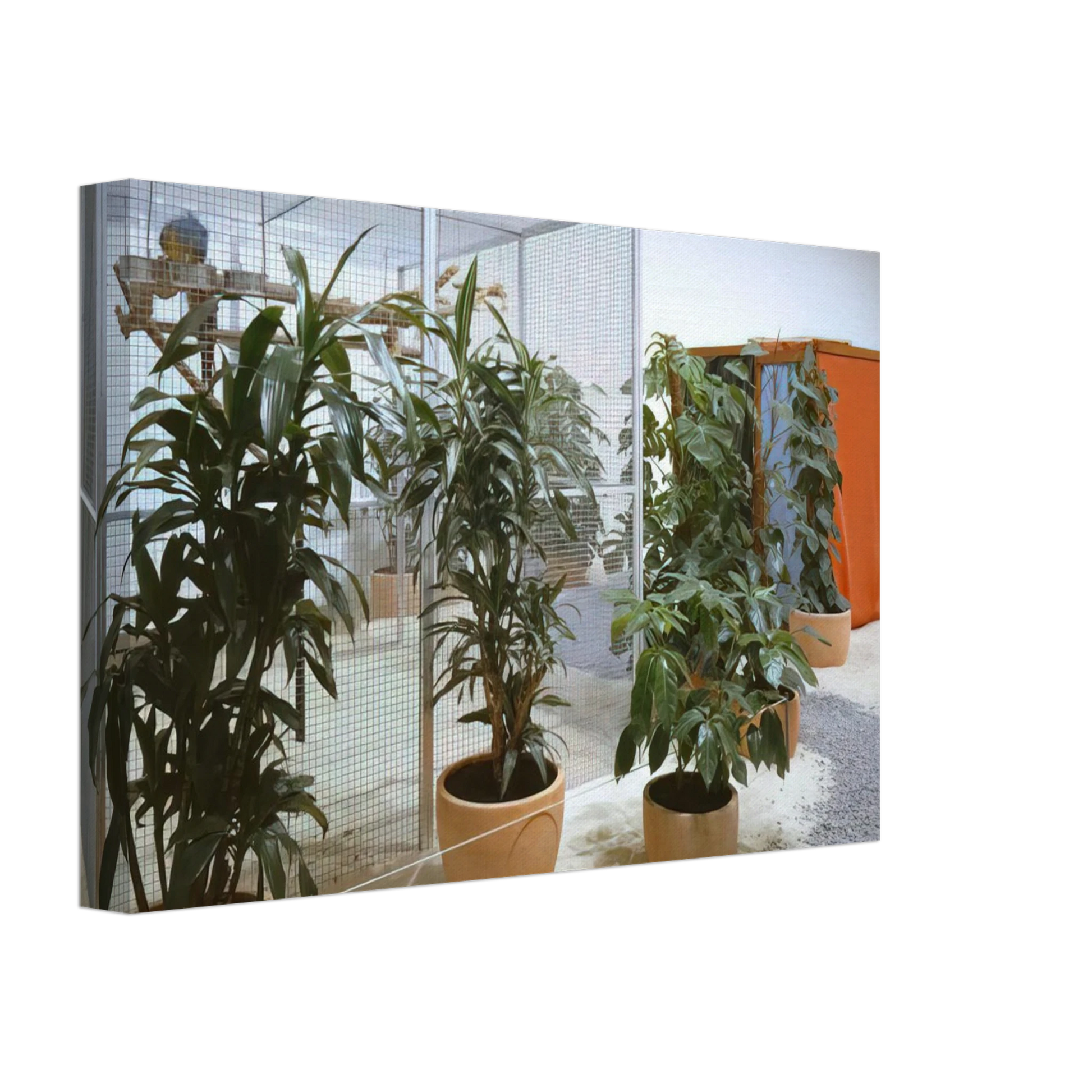 Helio Oiticica - Tropicalia, Penetrables PN 2 'Purity is a myth' and PN 3 'Imagetical' Canvas - 70x100 cm / 28x40 inches-canvas